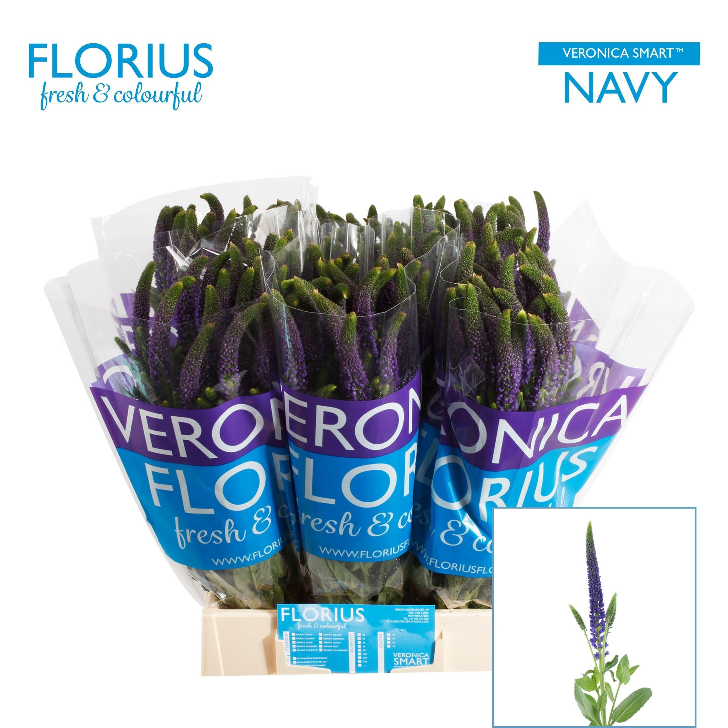 Вероника Смарт Нэви 50, шт.