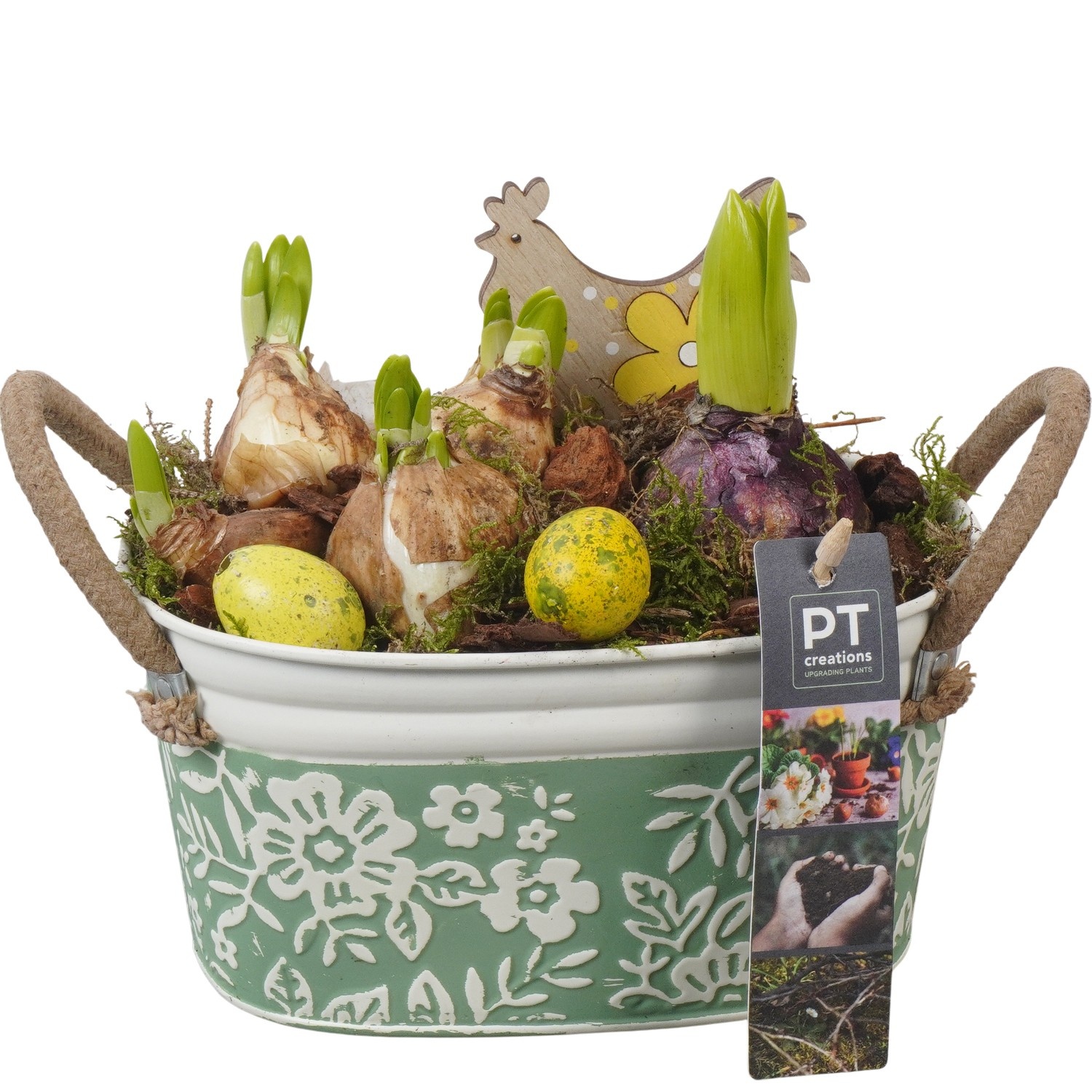 PTBMP5649 Arrangement Easter Bulbs Mix in zink pot, D 18