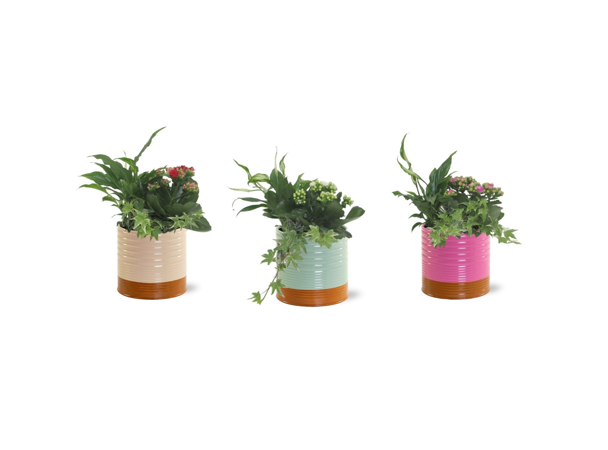 Collectie 'Tasty Bubble' - Arrangement in Zink Nola, D 12