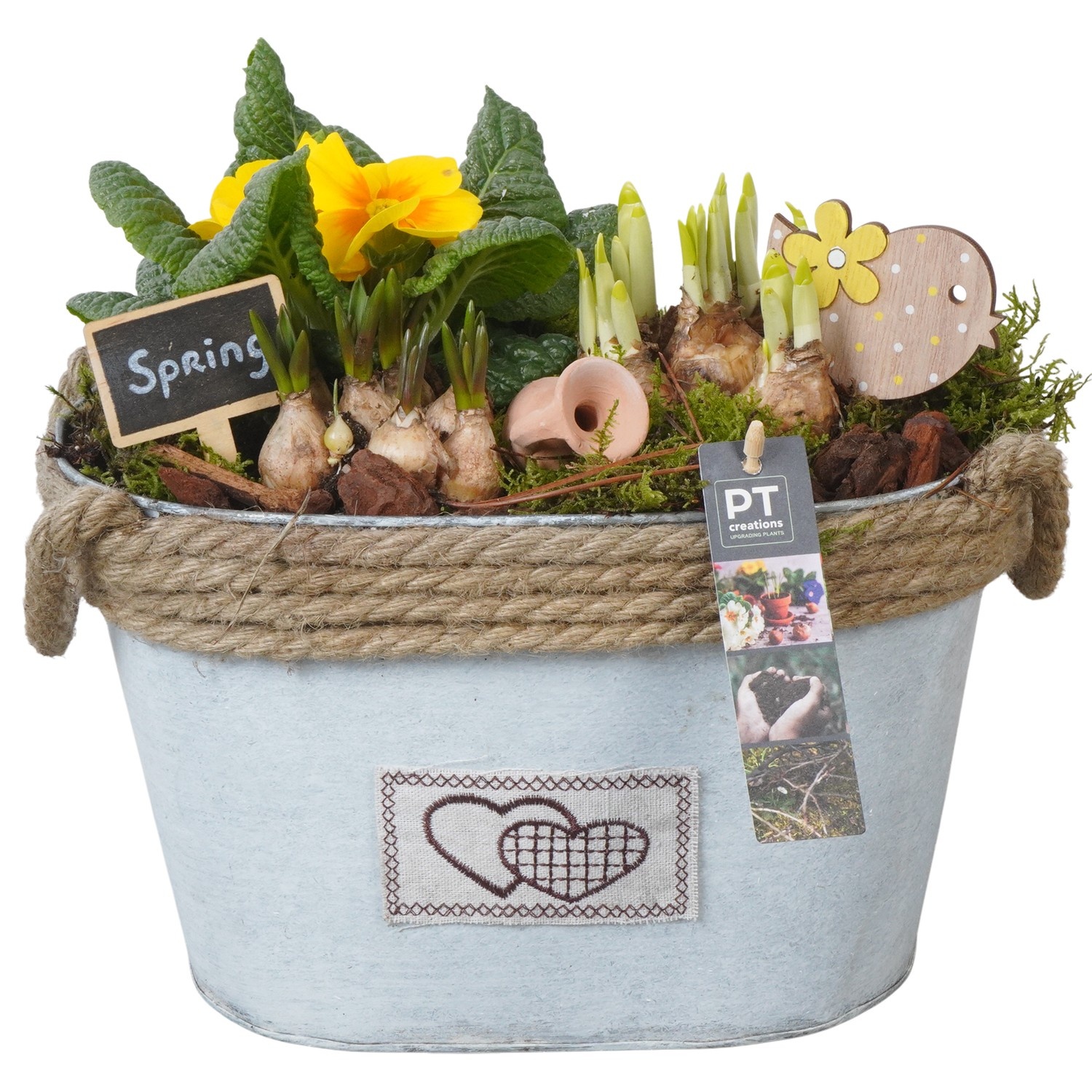 PTBM3797 Arrangement Flower Bulbs Mix in metalen pot, D 29