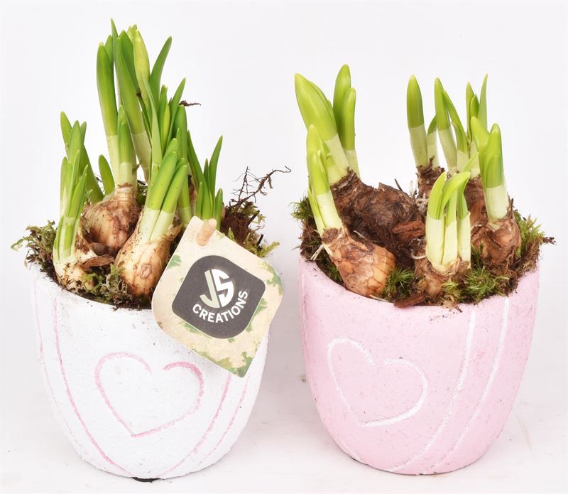 Cement pot met hart decor mix 10cm, D 10