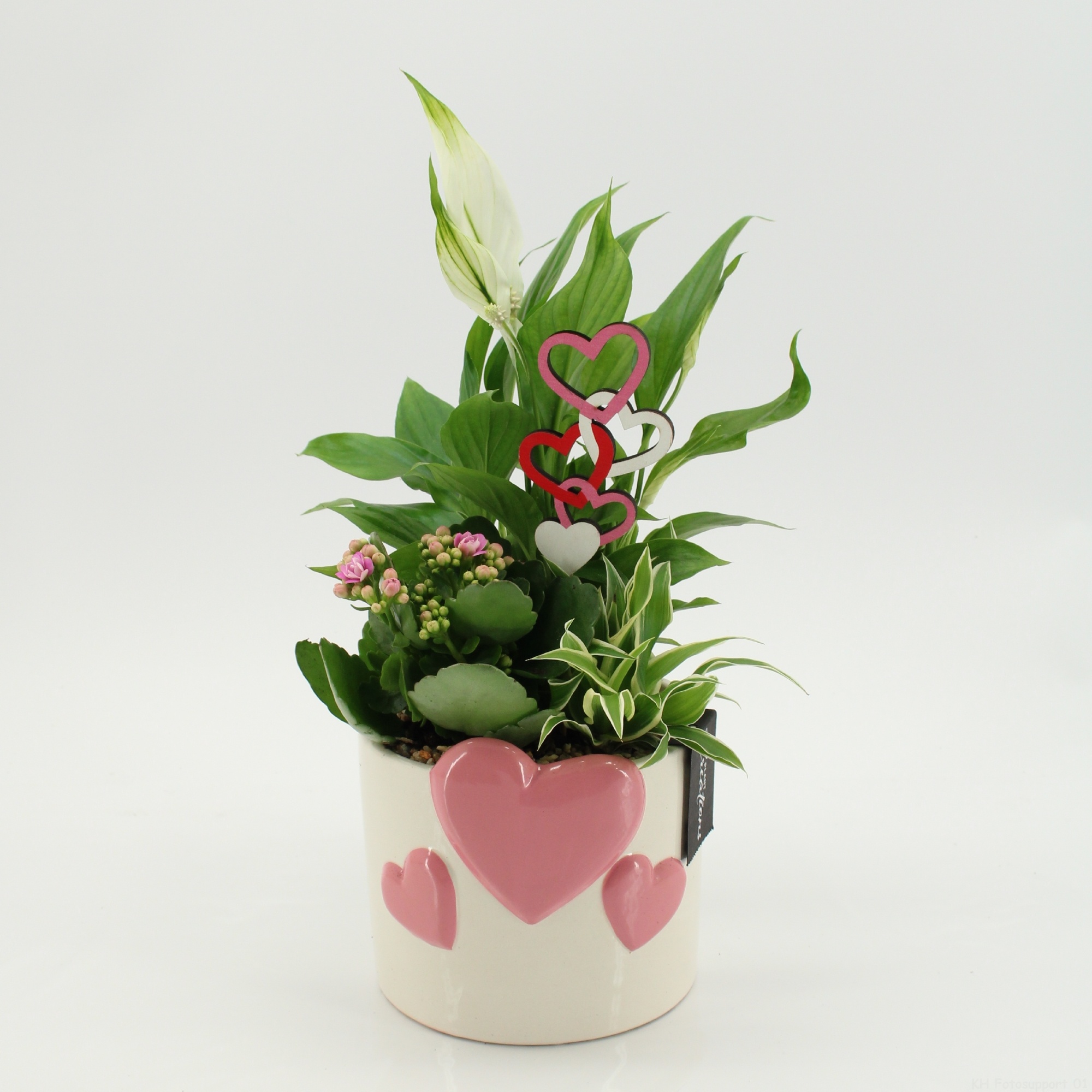 RMCR-2617RZ Romantic Essentials, D 14