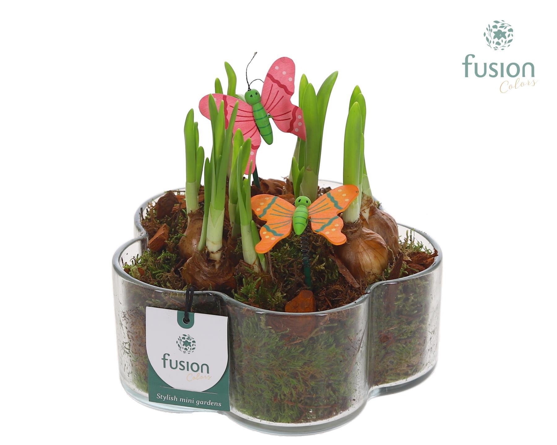 Glazen Bloemschaalmet Narcis, D 18