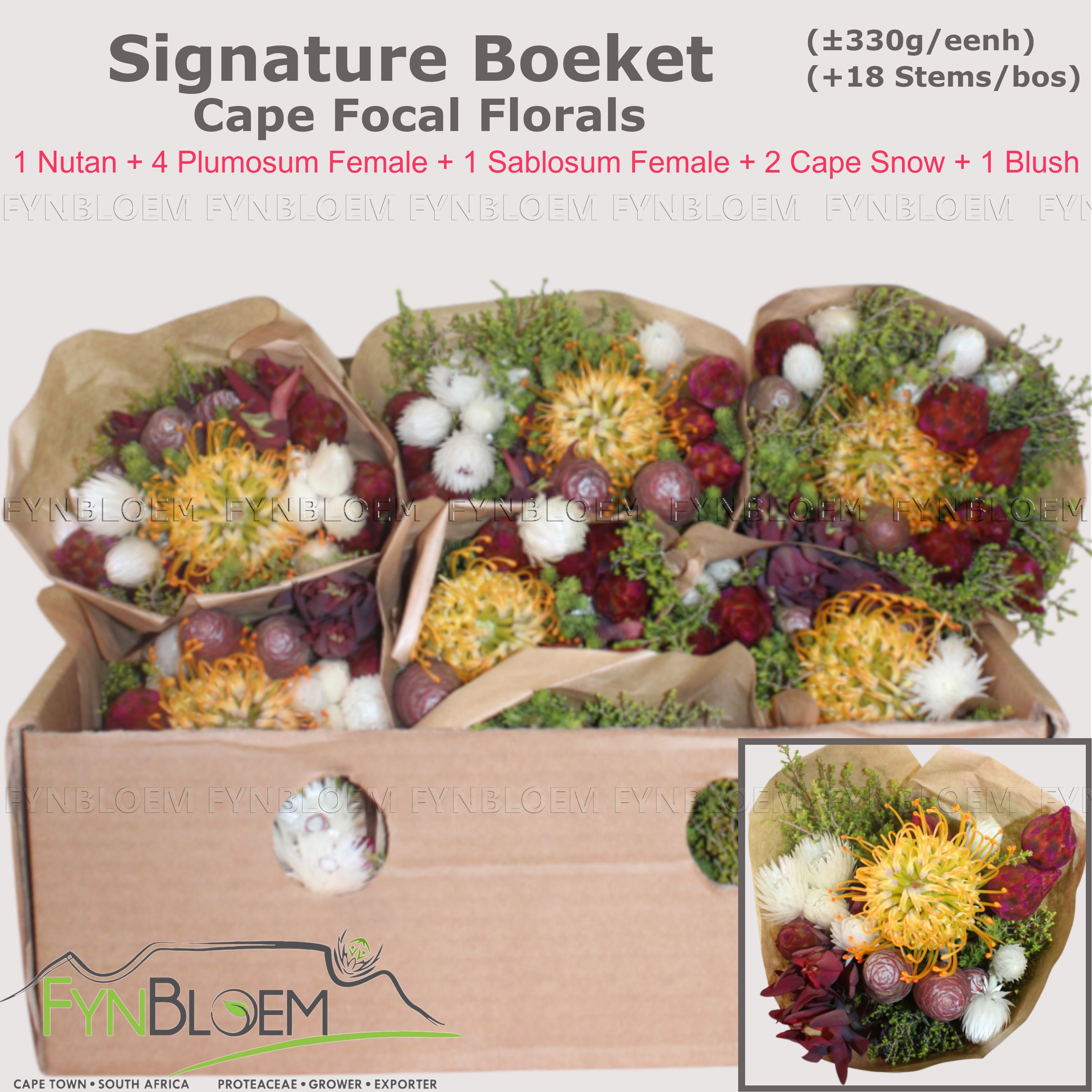 Протея Овериг за пучок 40, пуч.