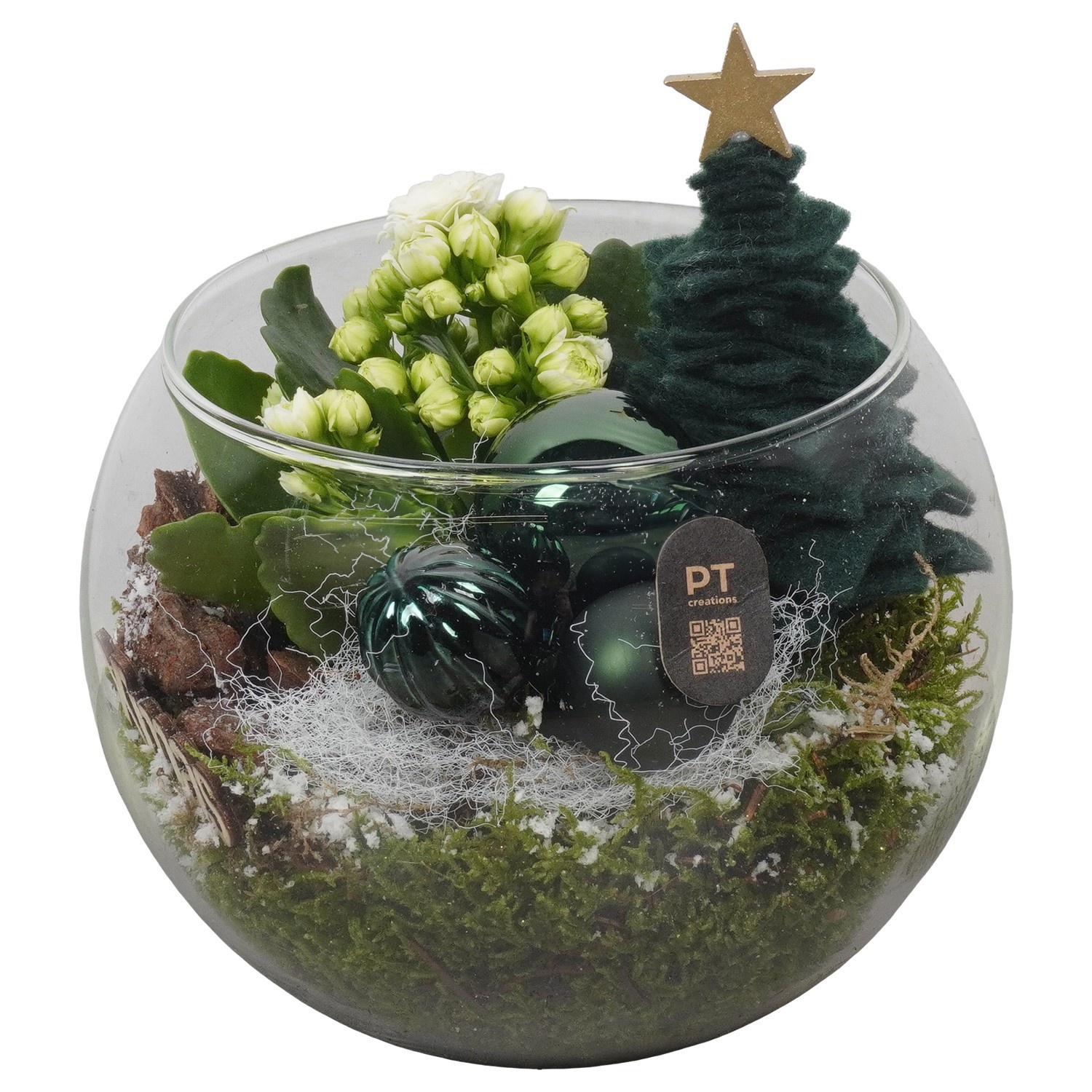 PTCHGR1923 Arrangement Christmas Green in glazen vissenkom, D 16