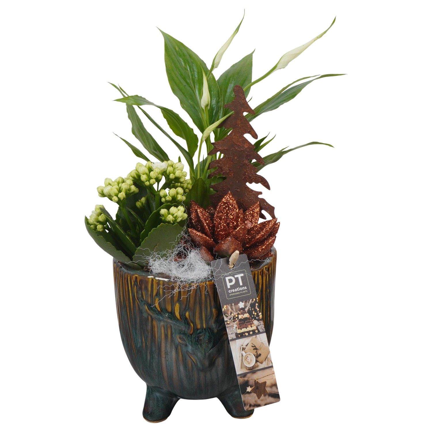 PTCHB9760 Arrangement Christmas Bronze in keramiek pot, D 13 cm