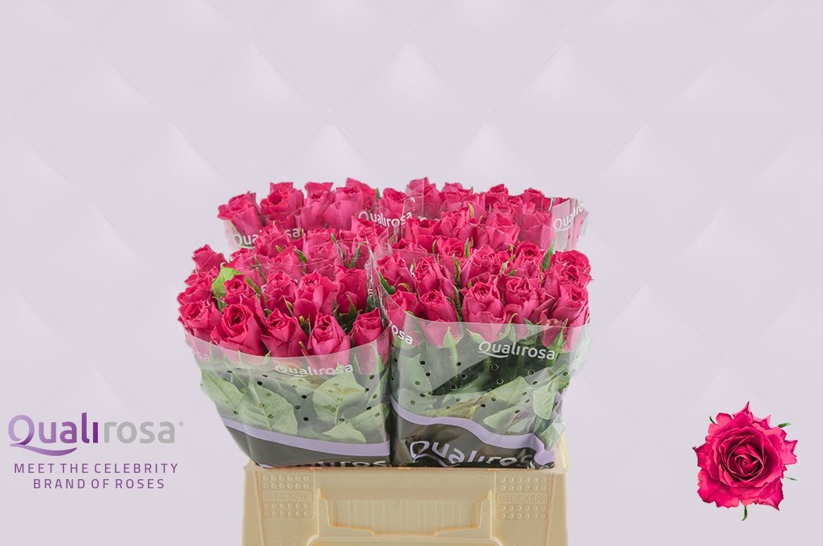 Роза од. Мадам Цериз 40, шт. Роза од. Мадам Цериз 40, шт.