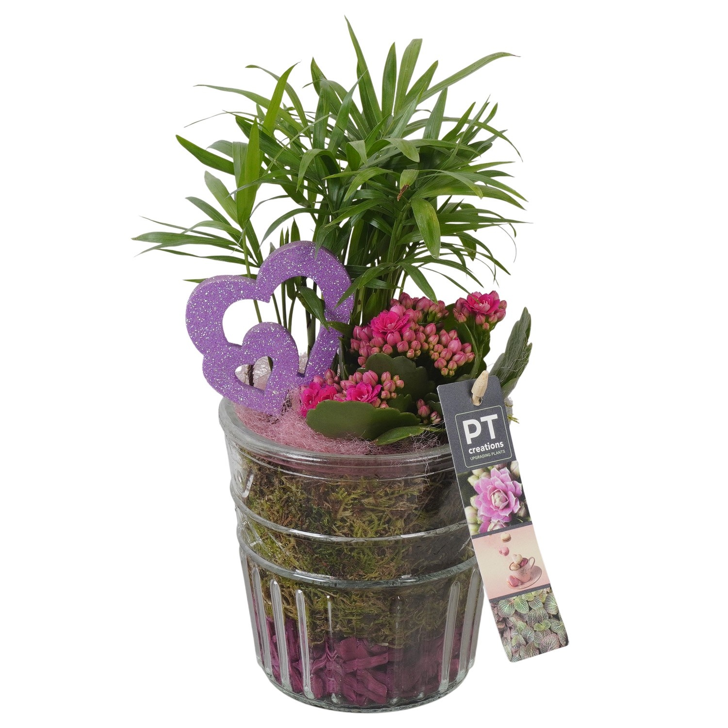 PTVMG4959 Arrangement Valentines-Mothersday in glas vaas, D 12