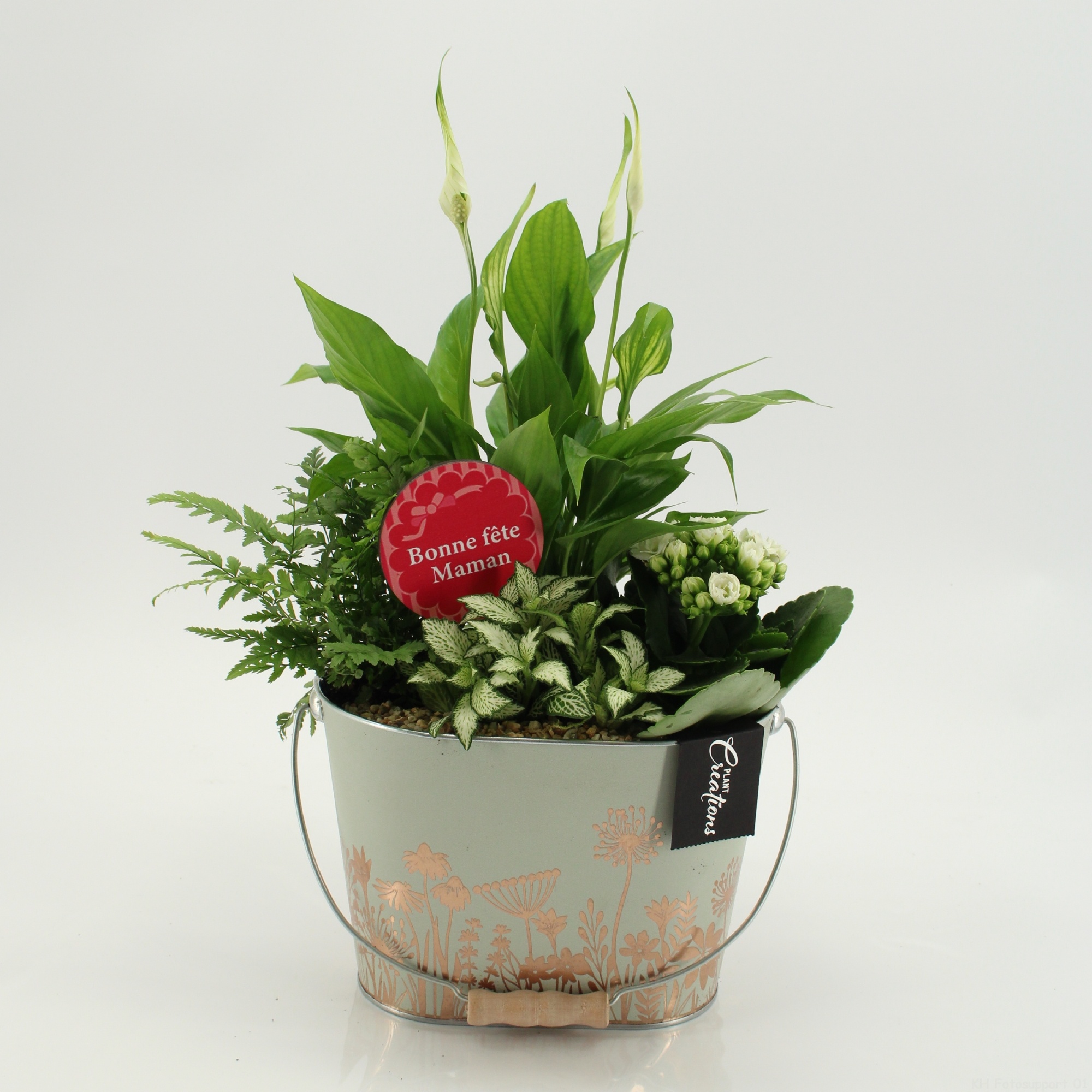 FRMD-2640W Bonne Fete Maman, D 20