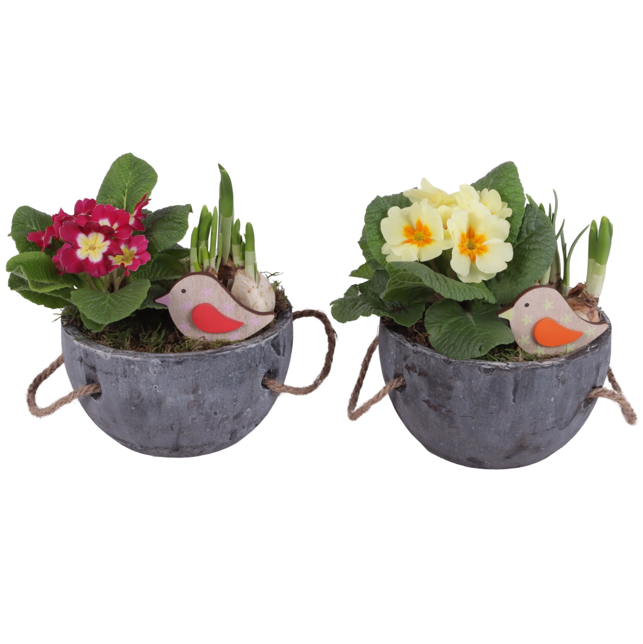 Early Spring Arr. Outdoor Ceramic Pot with Rope Handle Ø16cm 2PP, D 16