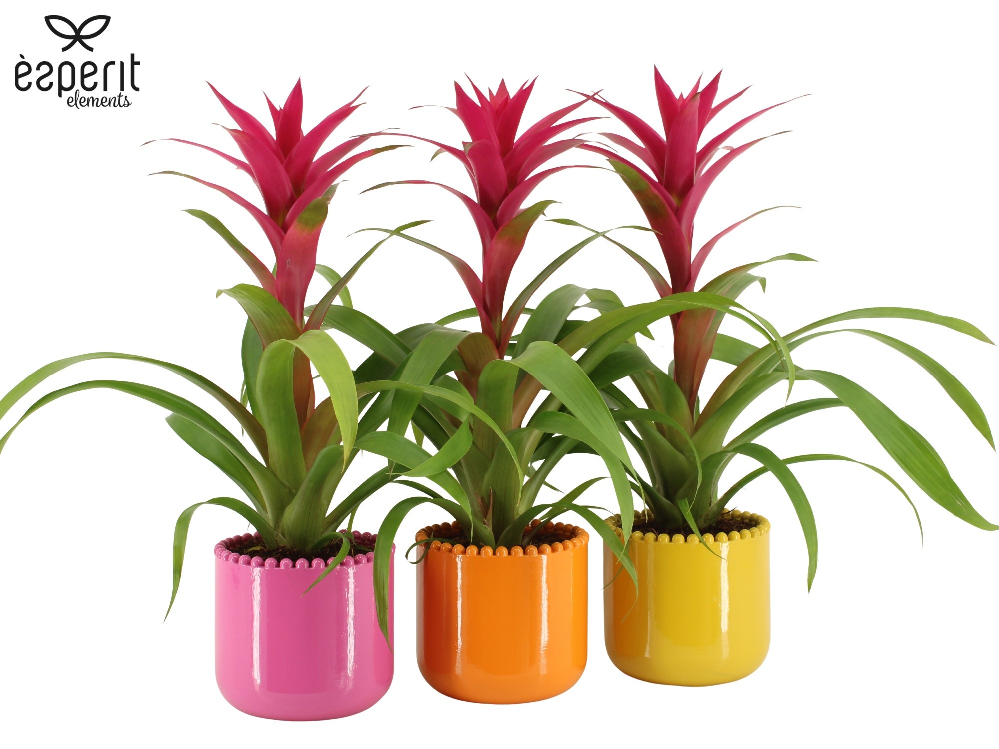 7503593: Solutionss Reinvention, D 12