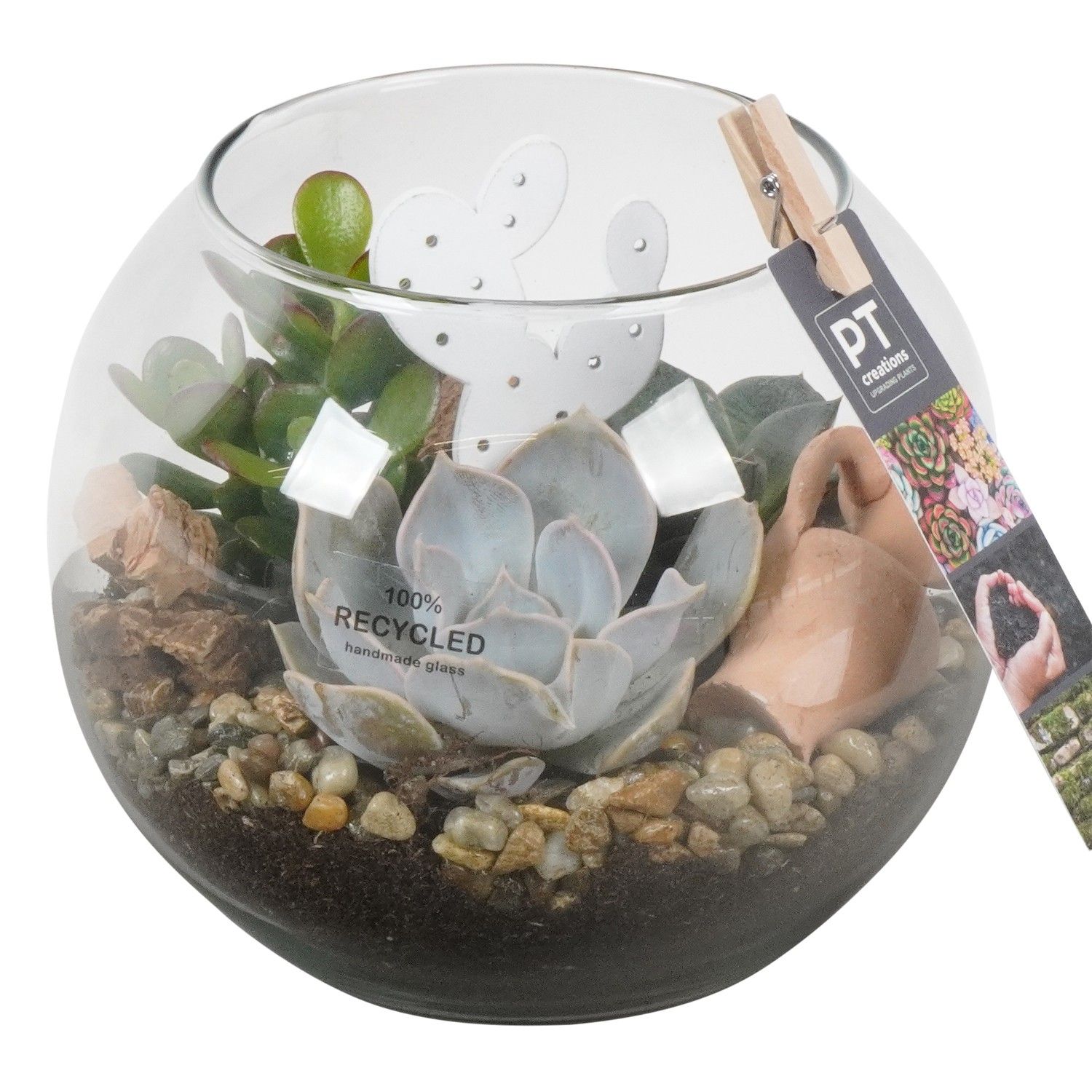 PTSU8422 Arrangement Succulenten in glazen vaas in bolvorm, D 16