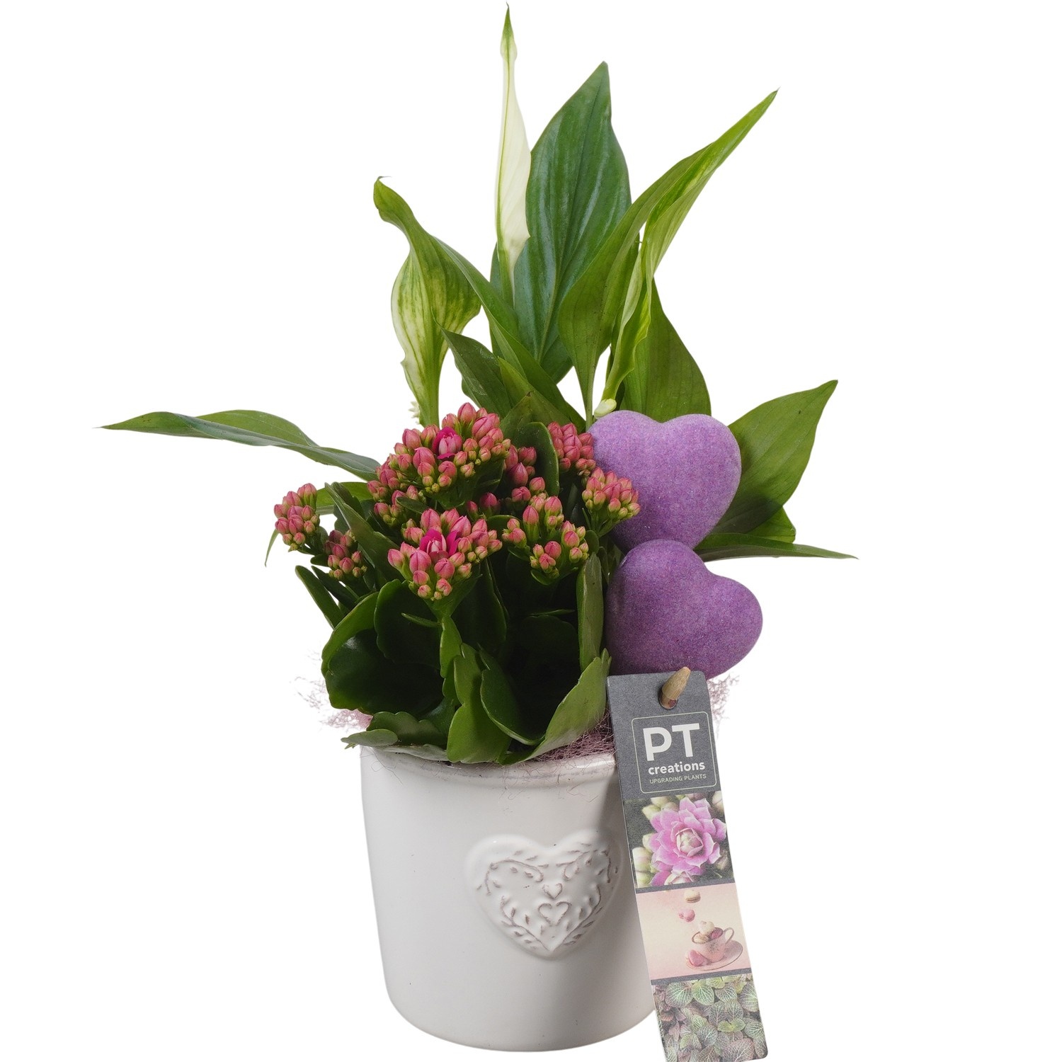 PTVMB2251 Arrangement Valentines-Mothersday in keramiek sierpot, D 10