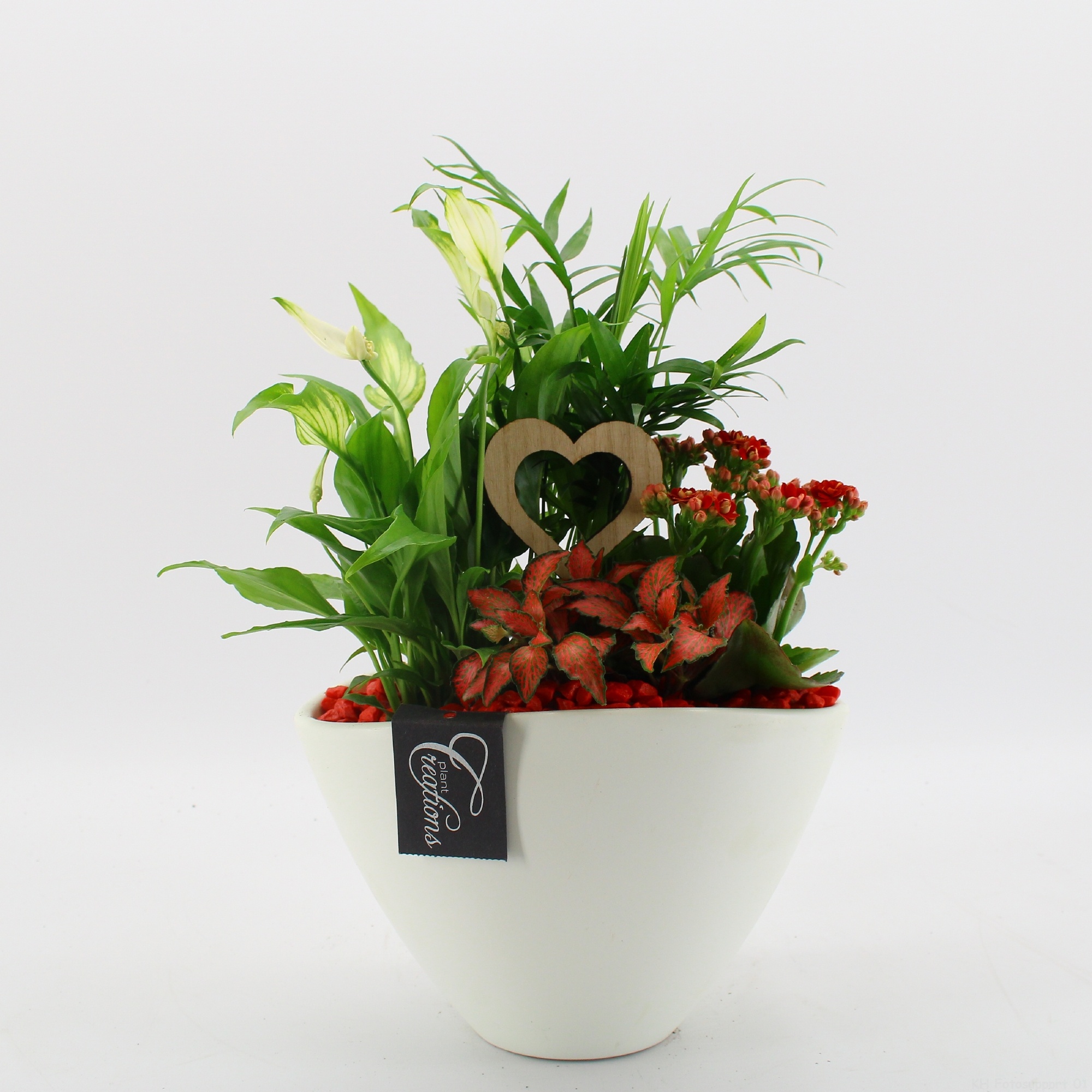 FDRM-2611R Romantic Fundamentals, D 21