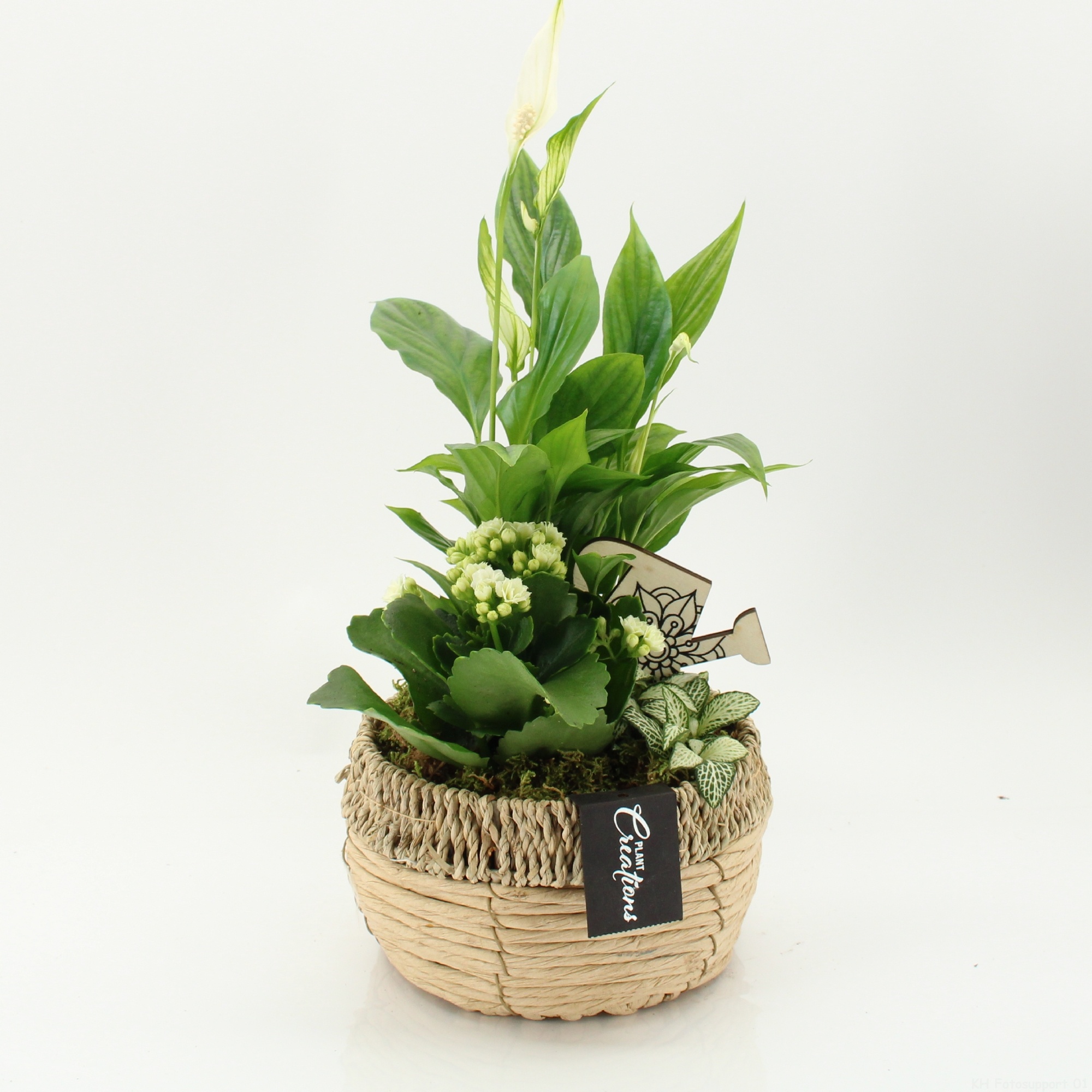 ESCR-2612W Essentials, D 18