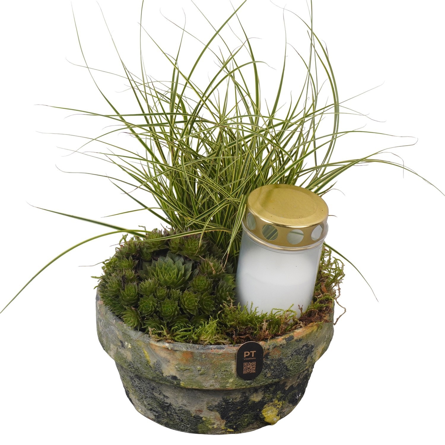 PTAH3075 Arrangement Allerheiligen in terracotta schaal, D 18