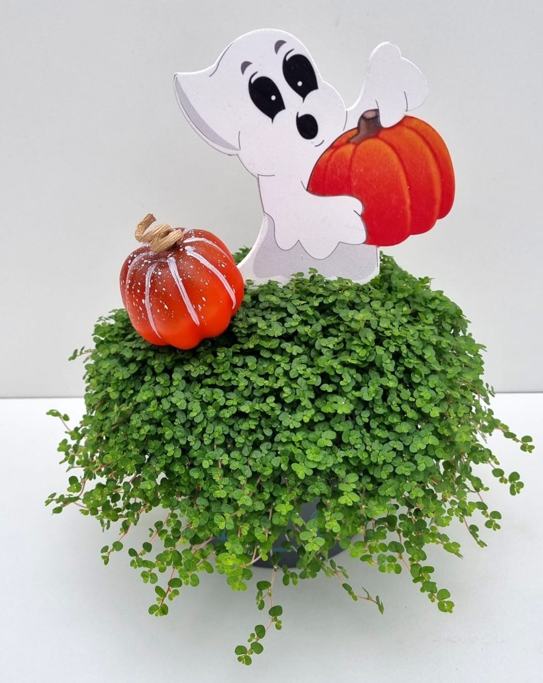 H6 Spook met pompoen, D 13 cm H6 Spook met pompoen, D 13 cm