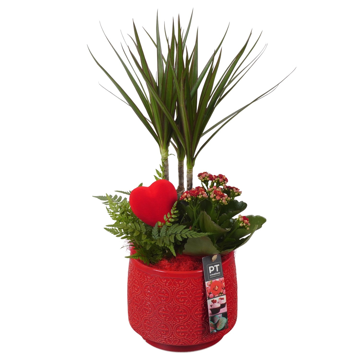 PTVMB2231 Arrangement Valentines-Mothersday in keramiek sierpot, D 17