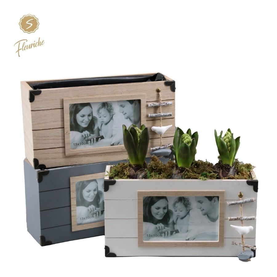 (3905) Hyacint Photo Booth 3PP Mos, D 28 cm