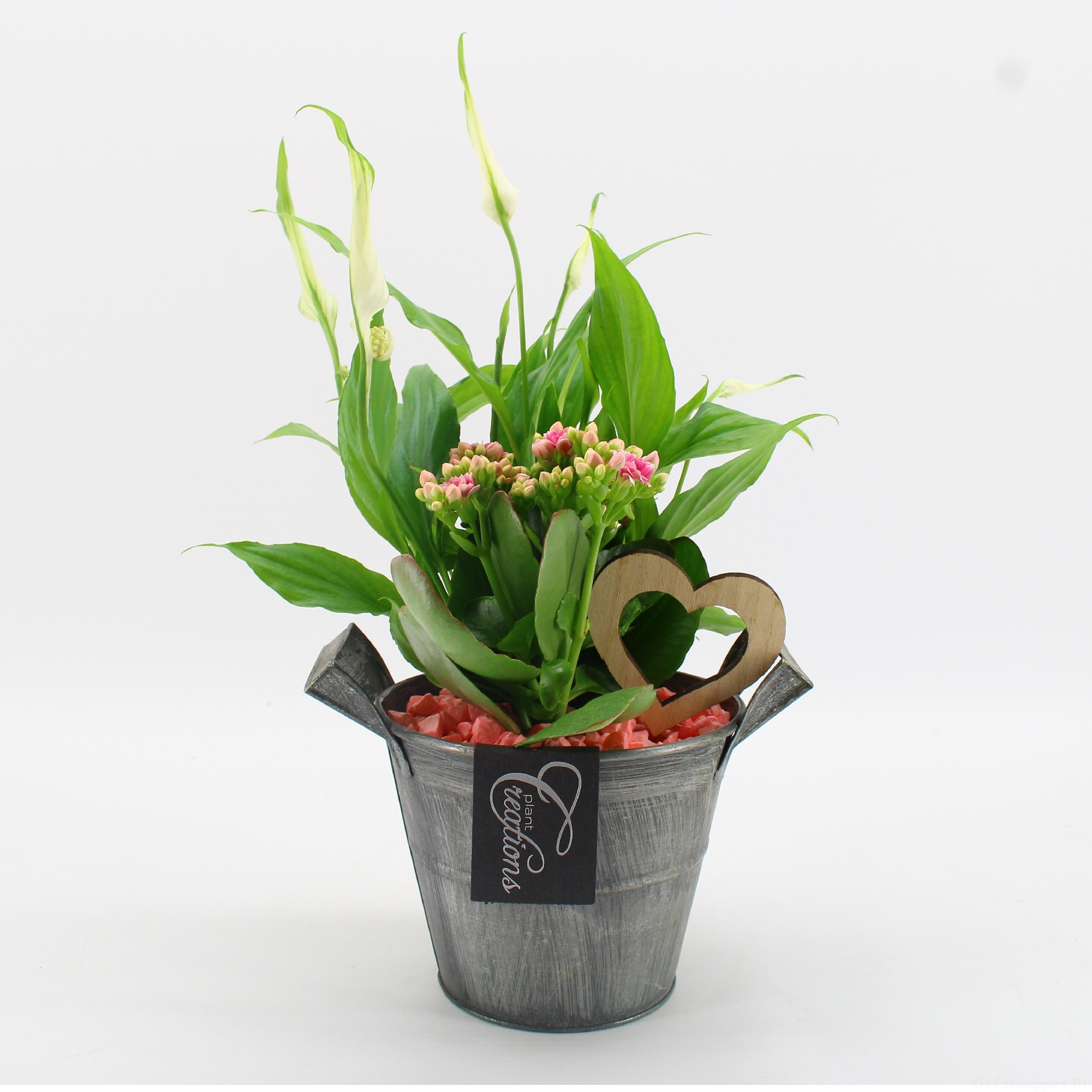 FDRM-2613RZ Romantic Fundamentals, D 14