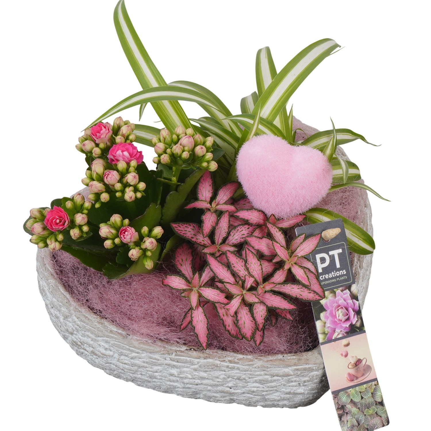 PTVMB2289 Arrangement Valentines-Mothersday in beton hart, D 18