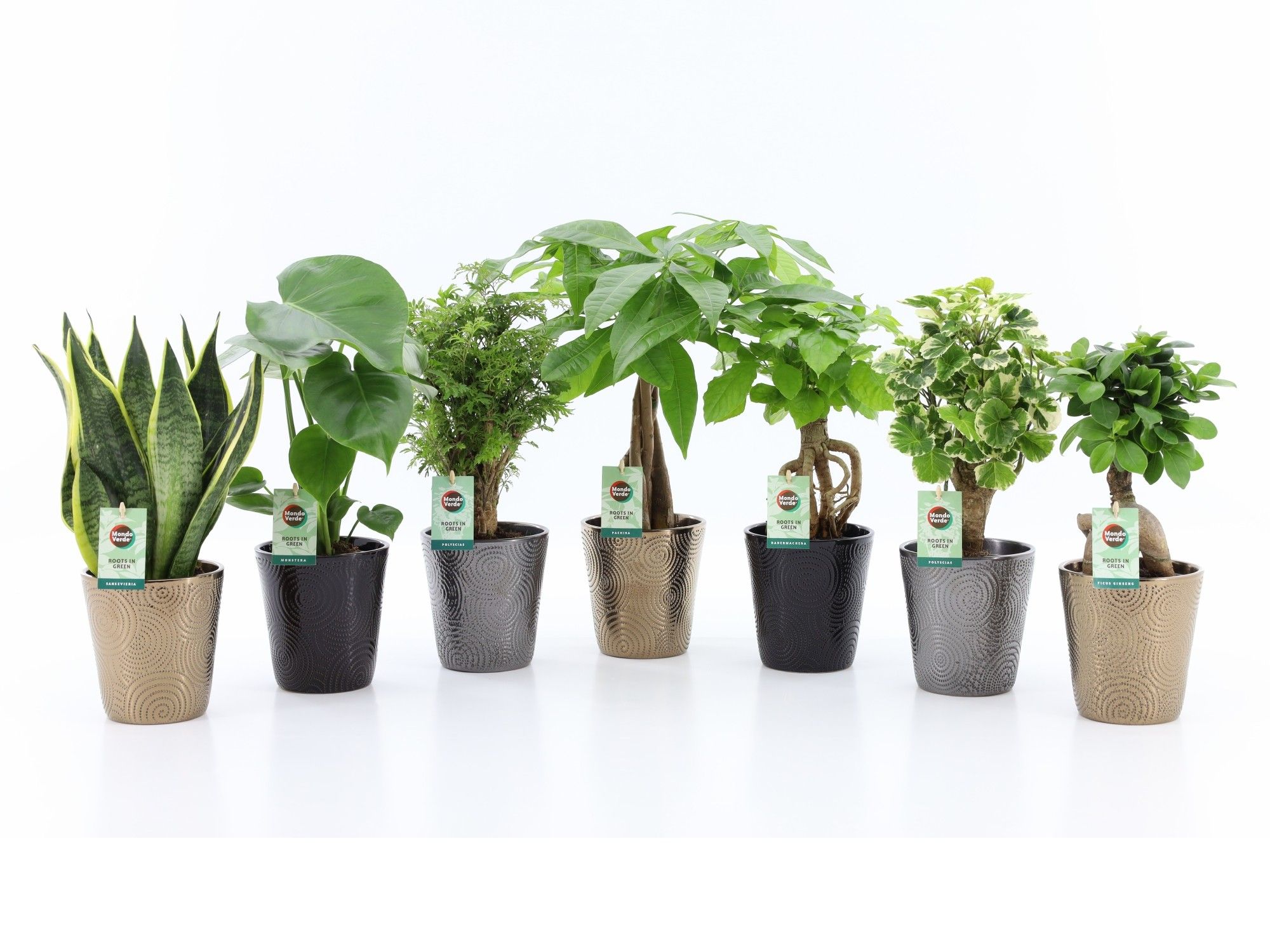 Exotic Green Mix in Infinity keramiek, D 13