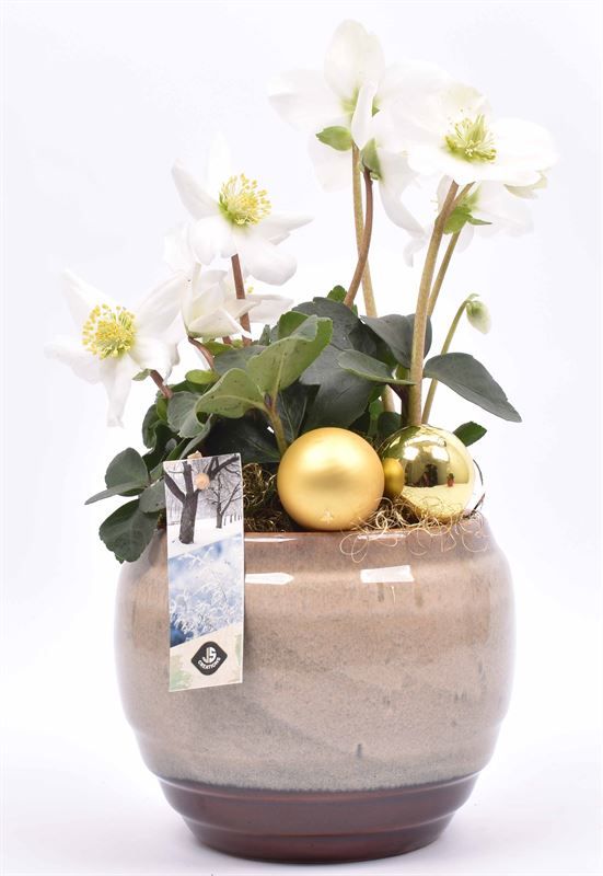 Keramiek sierpot creme 15cm, D 15 cm