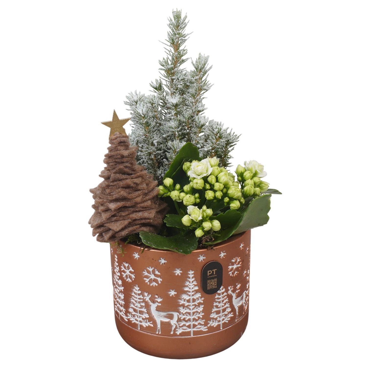PTCHB5847 Arrangement Christmas Bronze in beton pot, D 12