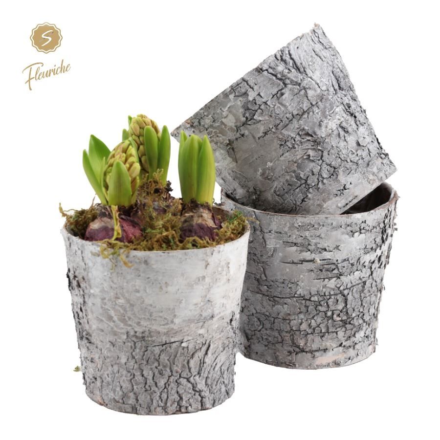 (3406) Hyacint Bark Pot [L], D 19 cm