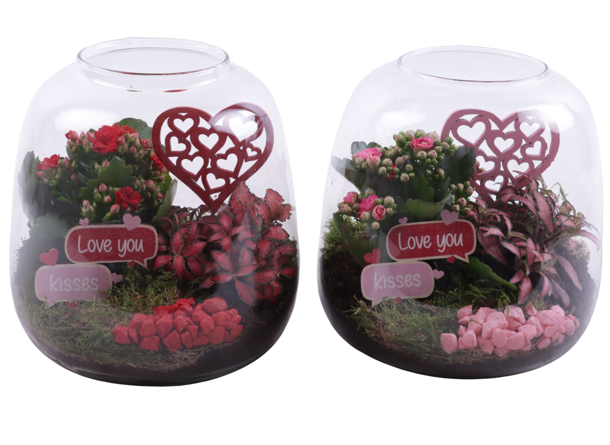 Valentine Arr. Indoor Glass Vase Terrarium Round Ø19cm 2PP, D 19