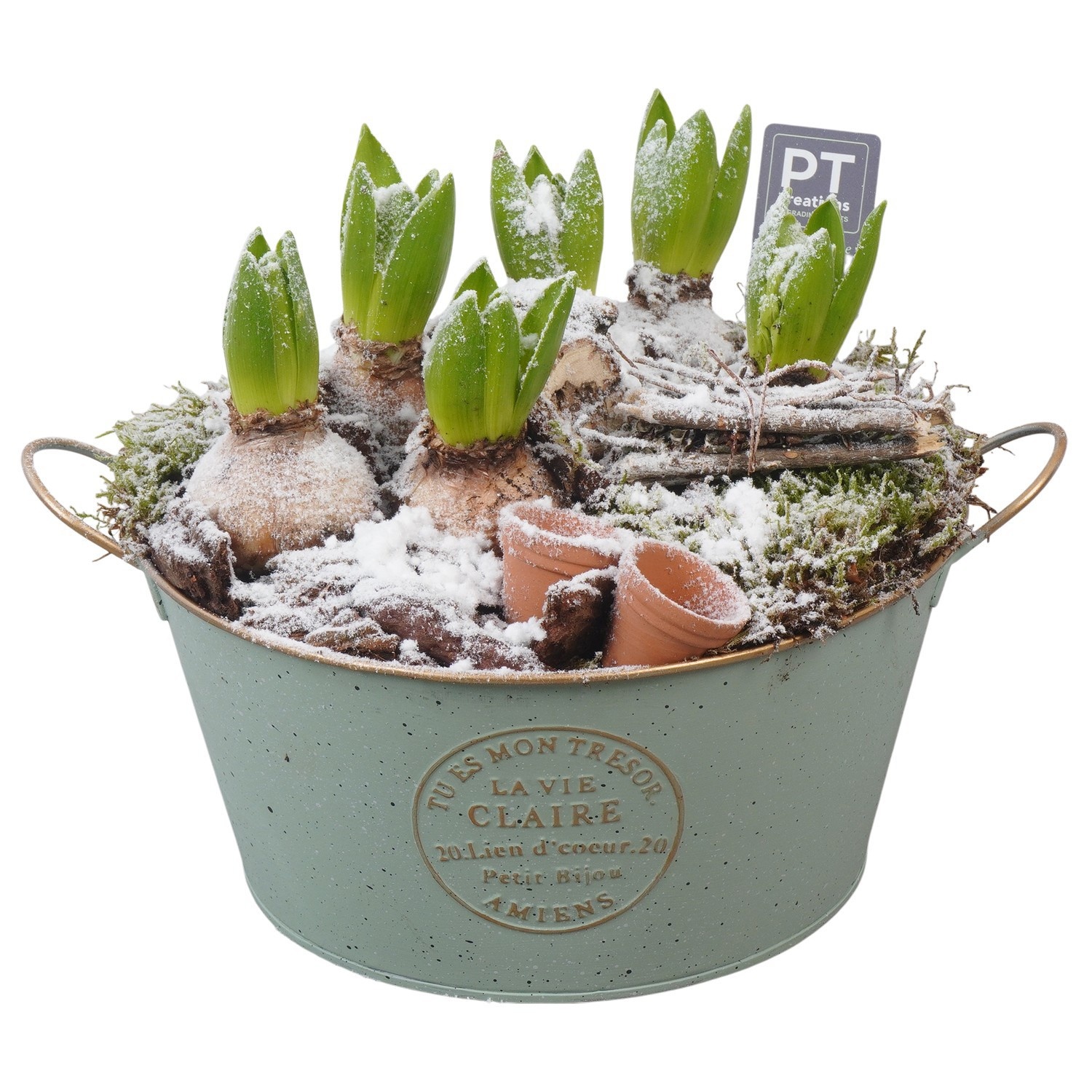 PTWH4068 Arrangement Winter Hyacint in metalen pot, D 23