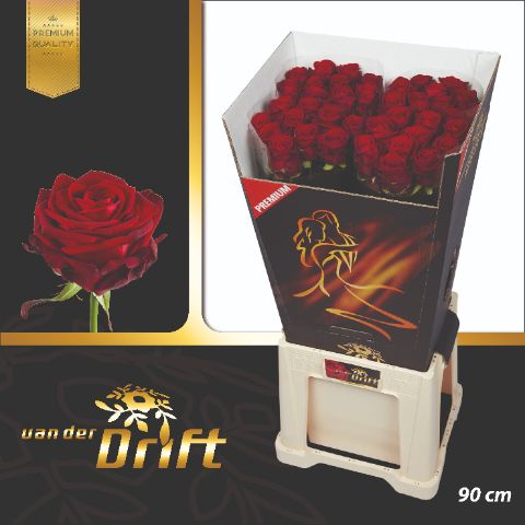 Роза од. Рэд Наоми 90, шт. Роза од. Рэд Наоми 90, шт.