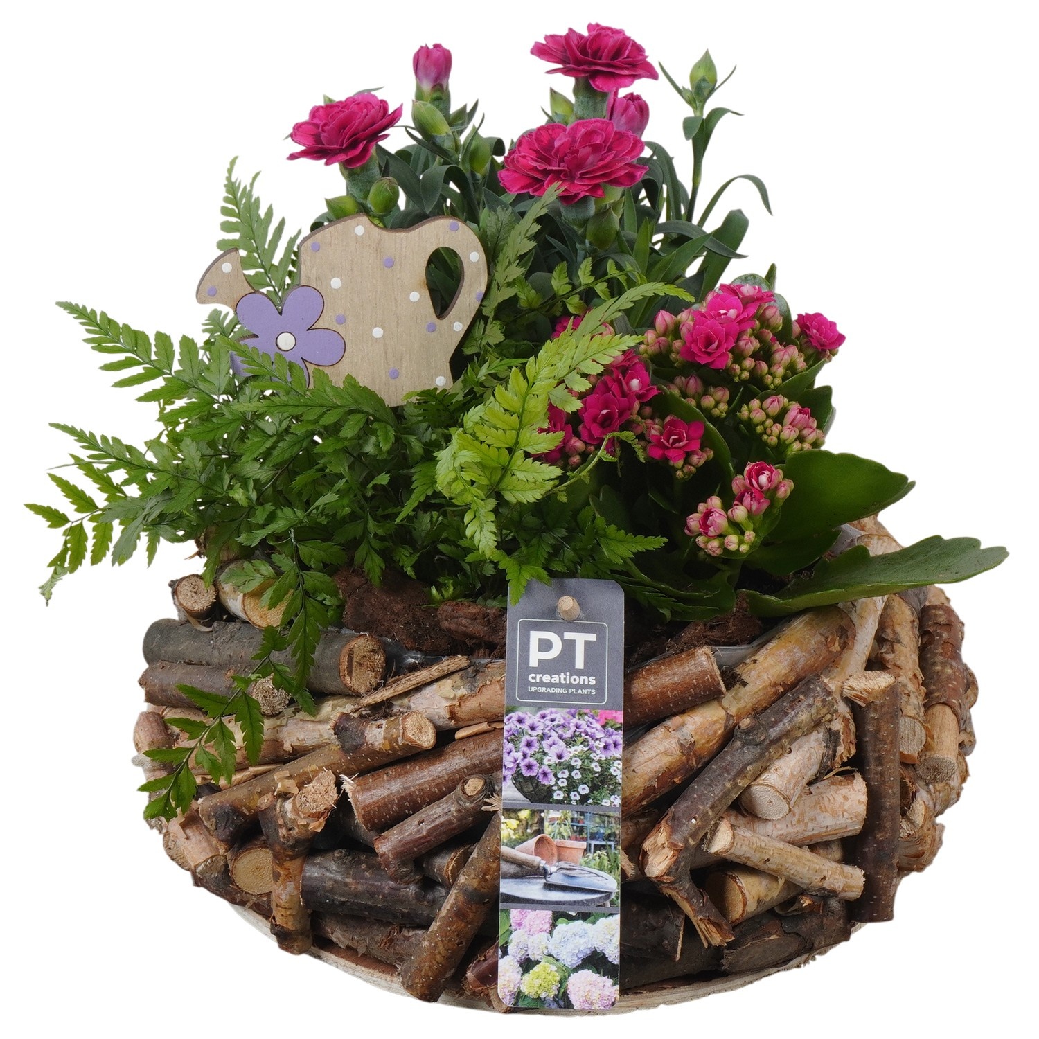 PTPP6995 Arrangement Patio in houten bak, D 23
