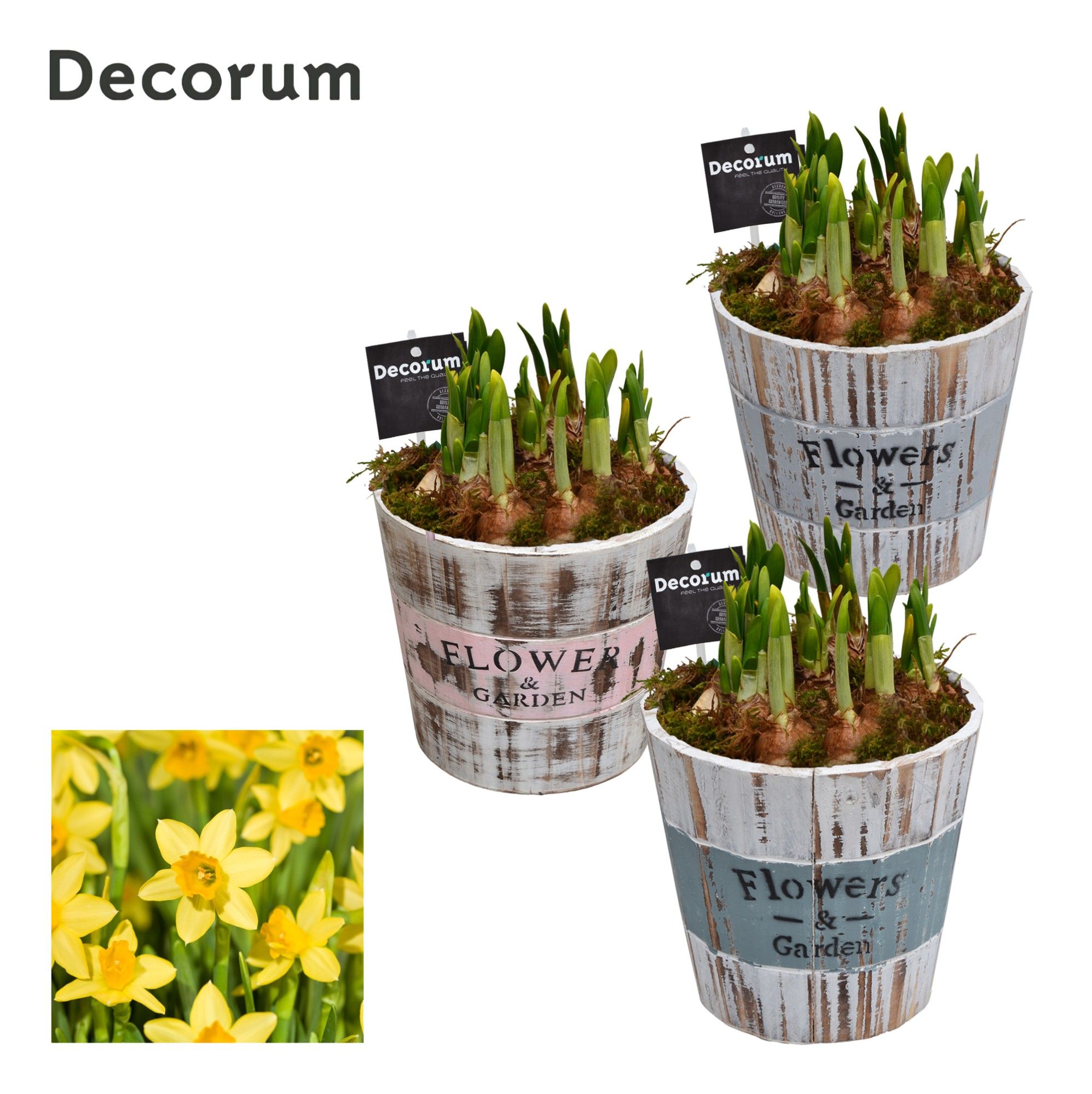 Narcis Big Wooden Bucket GM HL11717, D 18