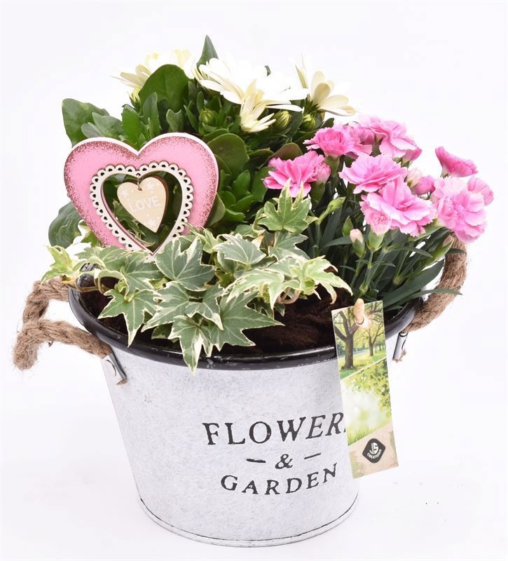 Zink teil Flowers & Garden 18cm, D 18