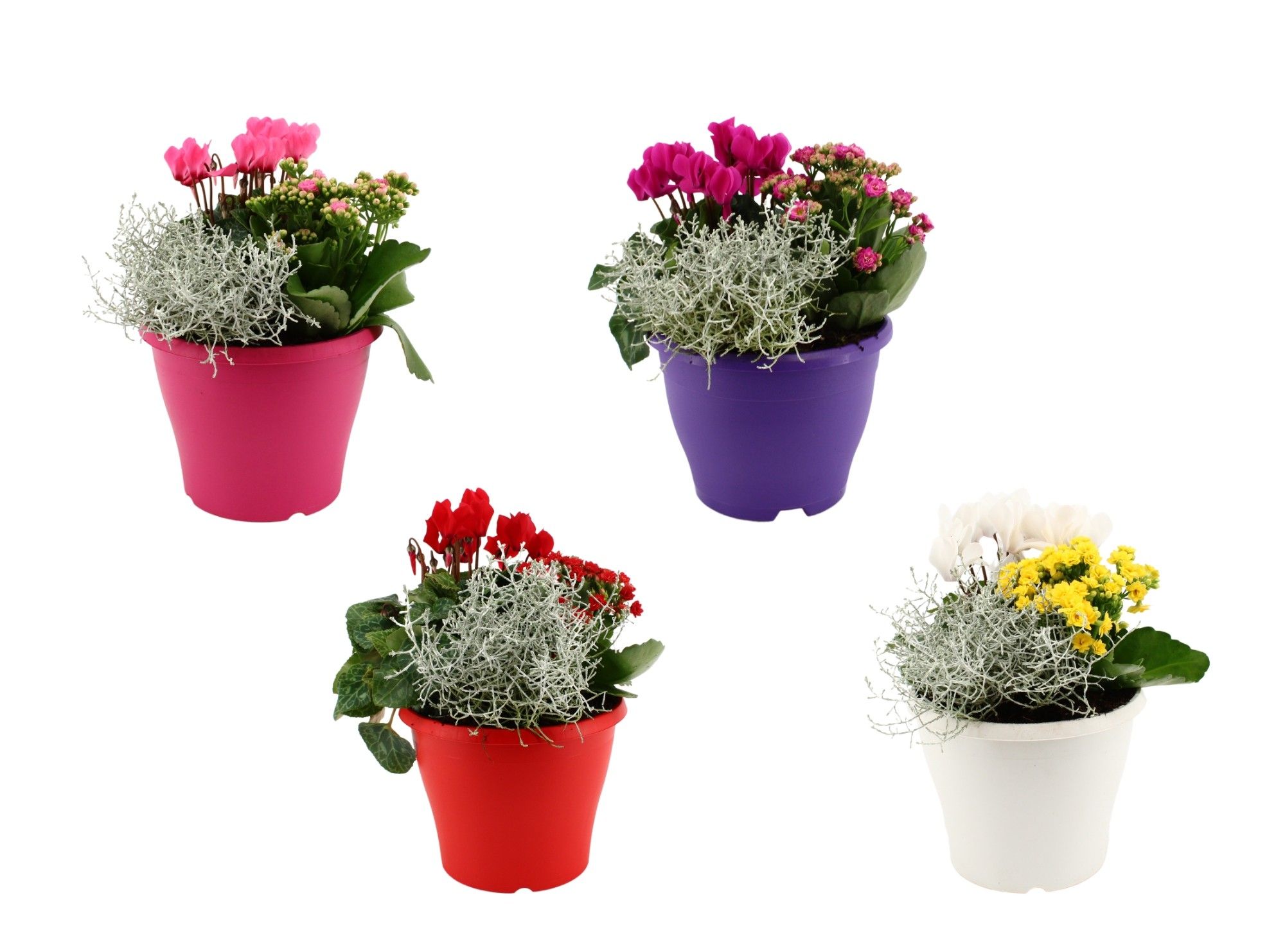 Hello Autumn trio in terraspot 19 cm 'Leaf', D 19 cm