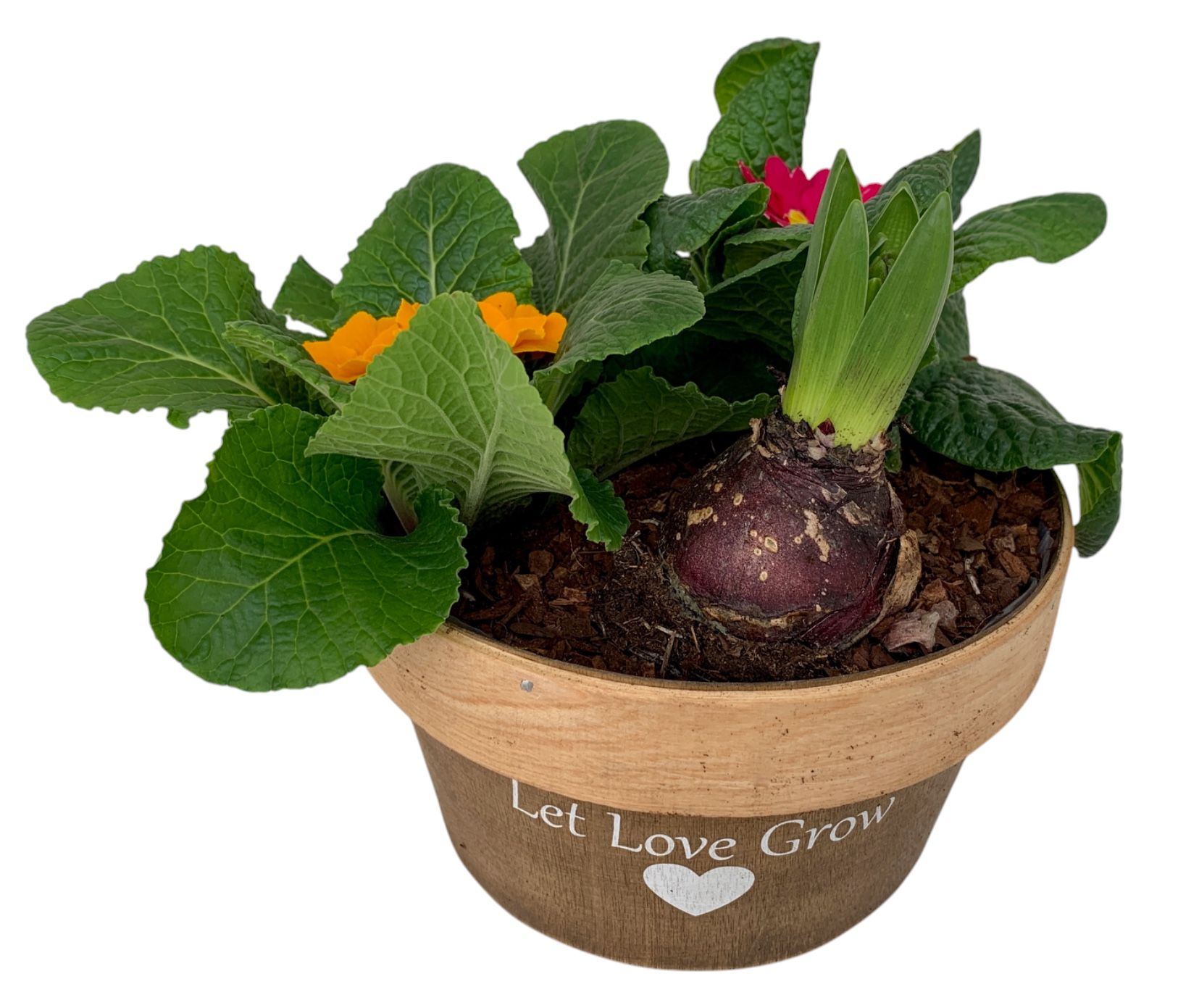 Love Rond Hout 2x prim 1x hys 541, D 20