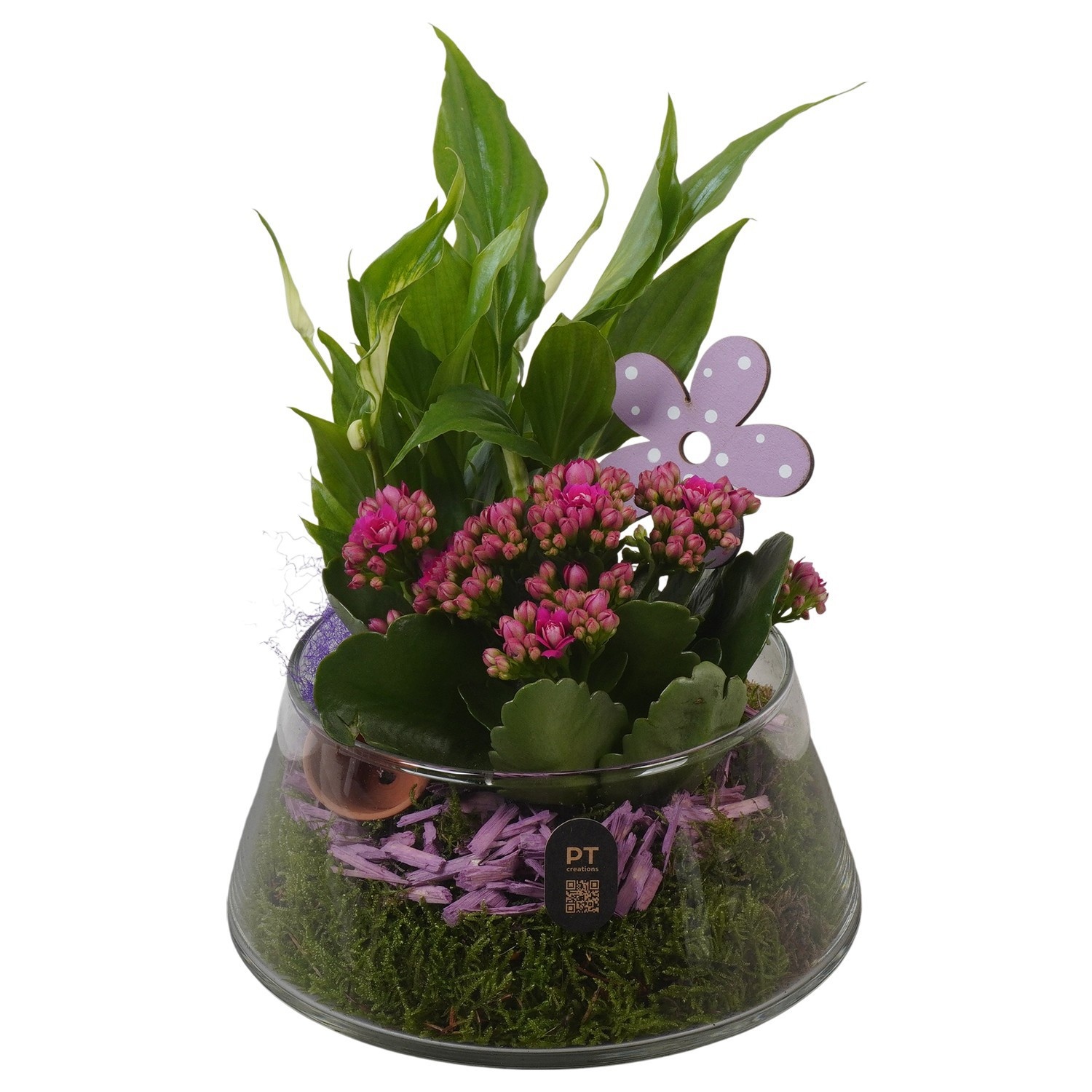 PTIG2640 Arrangement Indoor in glas schaal, D 18