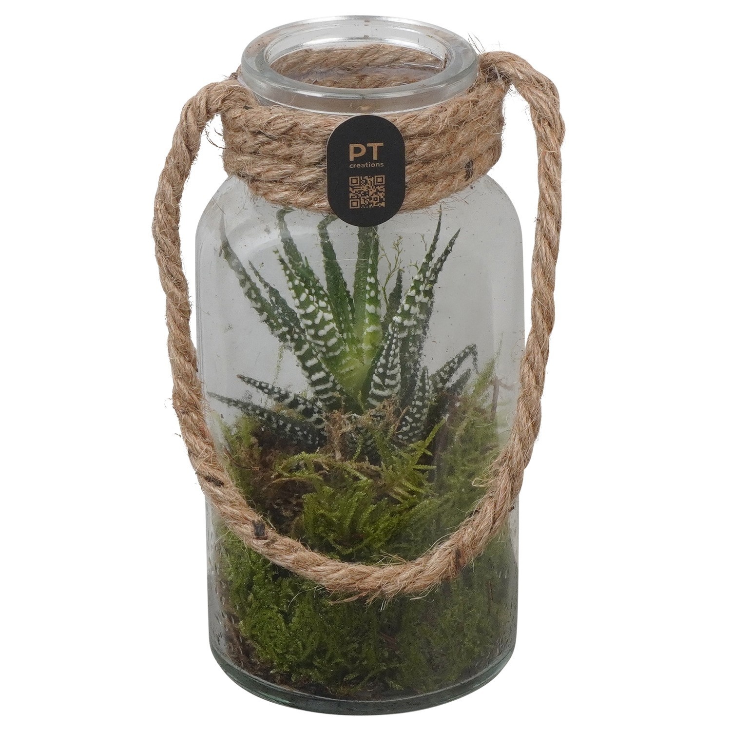 PTIG2710 Arrangement Indoor in glazen vaasje, D 8