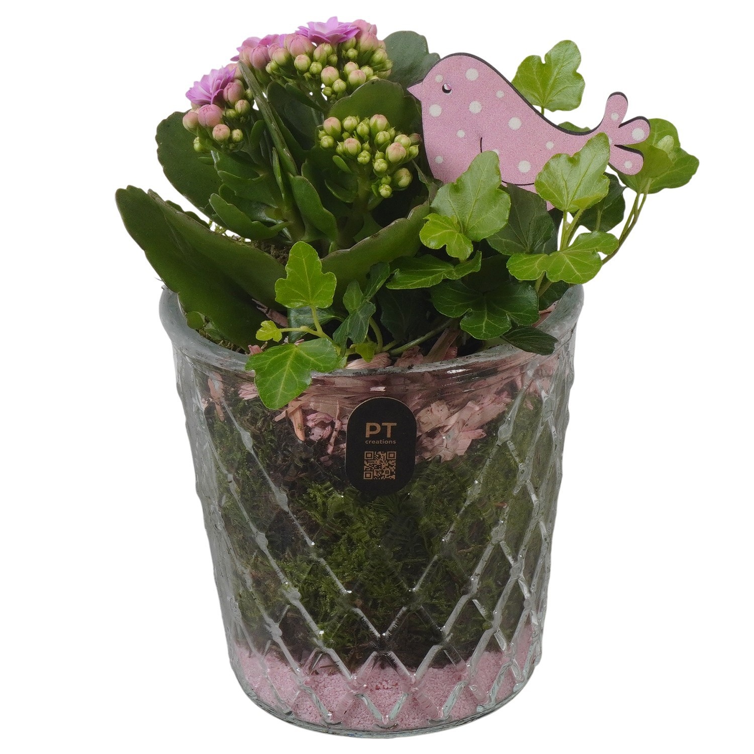 PTIG2686 Arrangement Indoor in glazen vaas, D 12