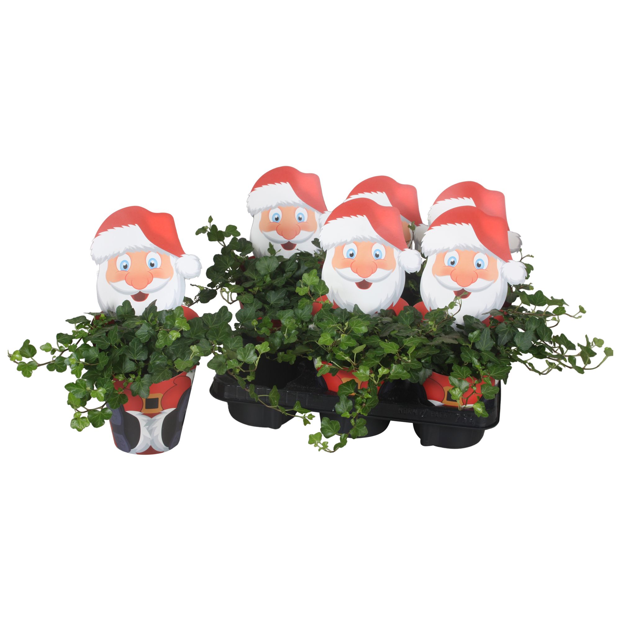Potcover Kerstman met Hedera, D 13