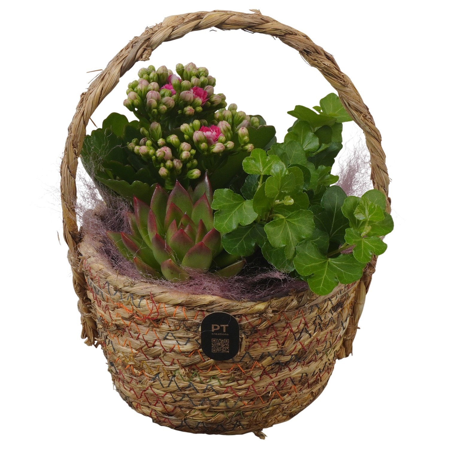 PTIB5223 Arrangement Indoor in rieten hengselmand, D 15