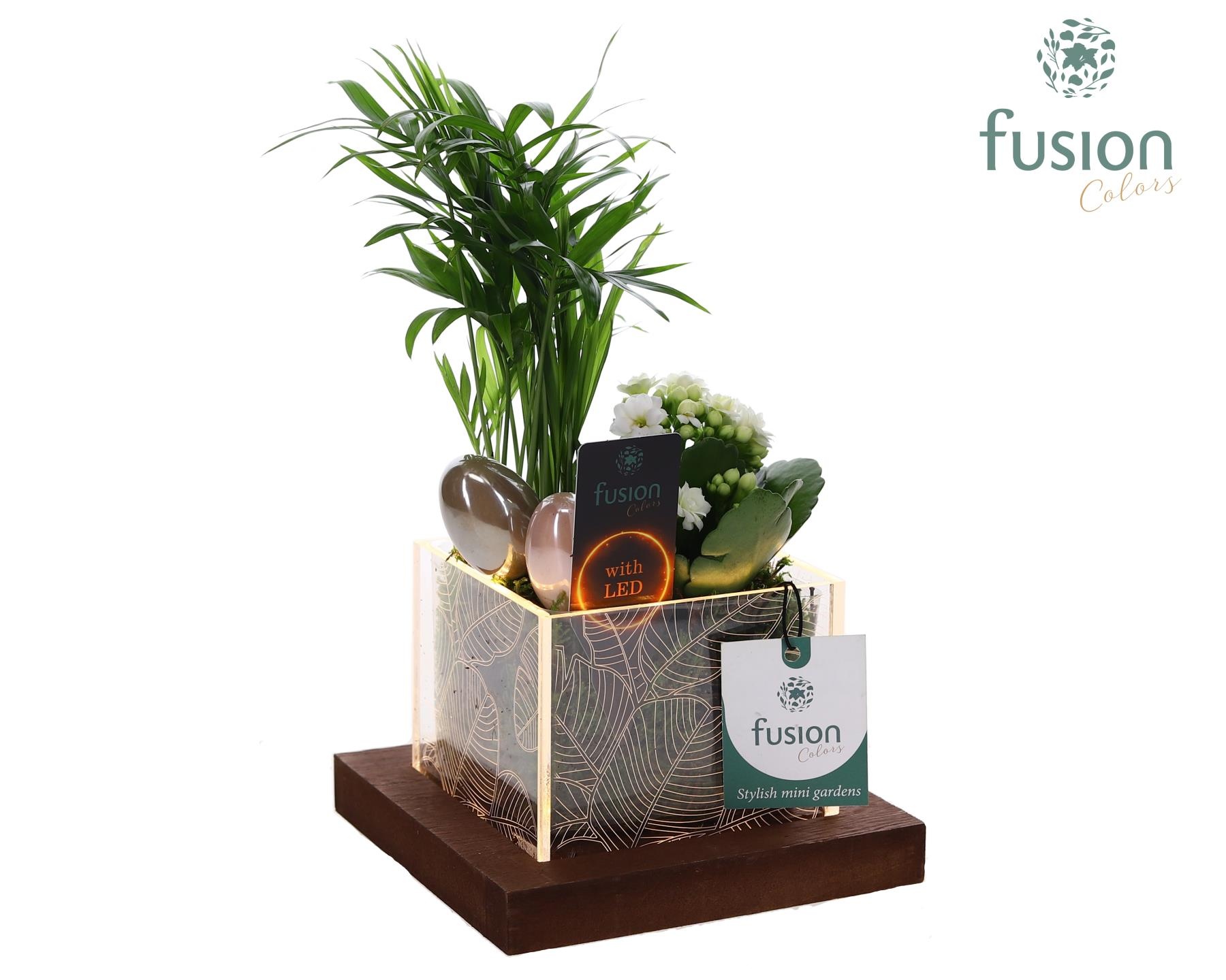 Acryl bakje LED met Arrangement Pasen, D 12