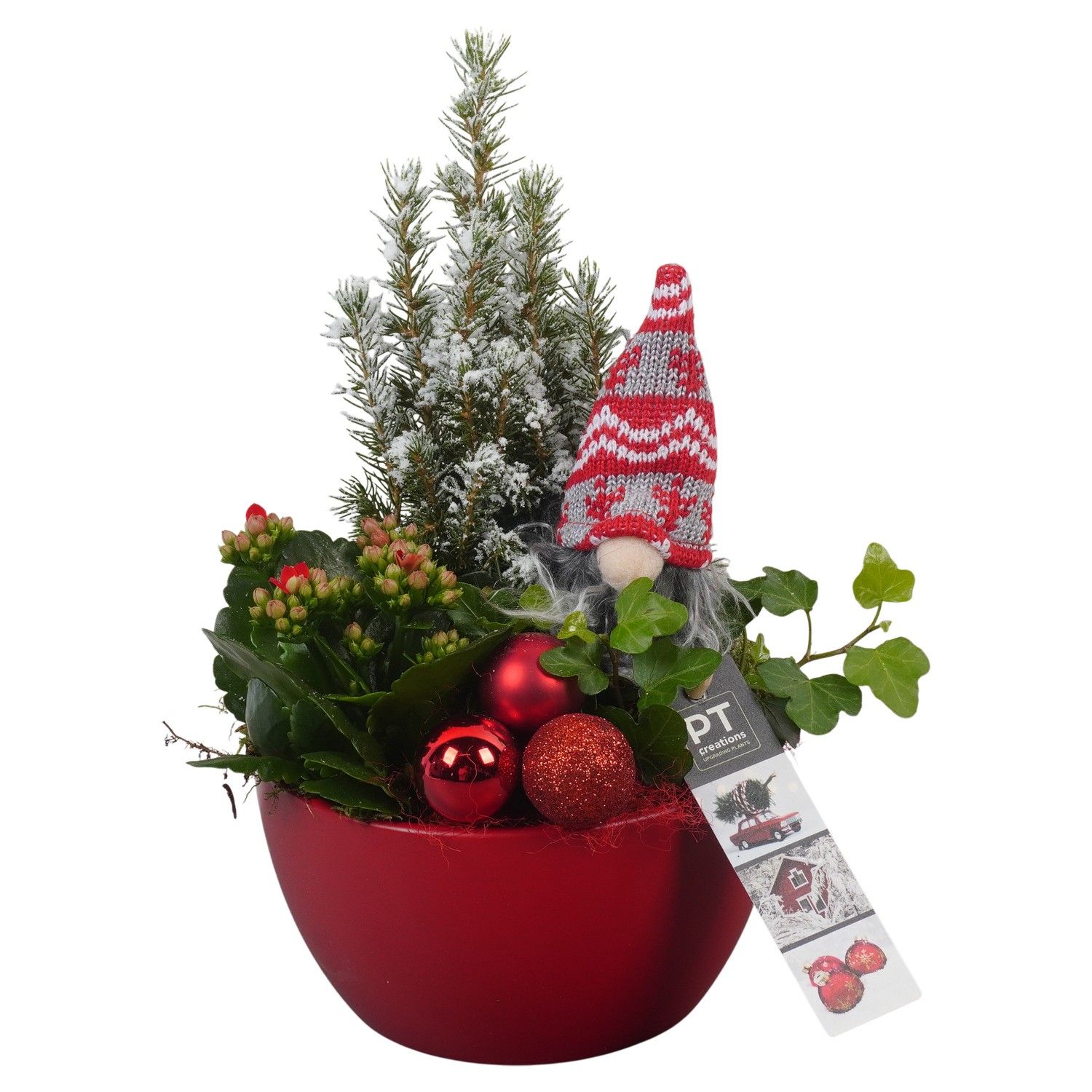 PTCHR7233 Arrangement Christmas Red in keramiek schaal, D 15 cm