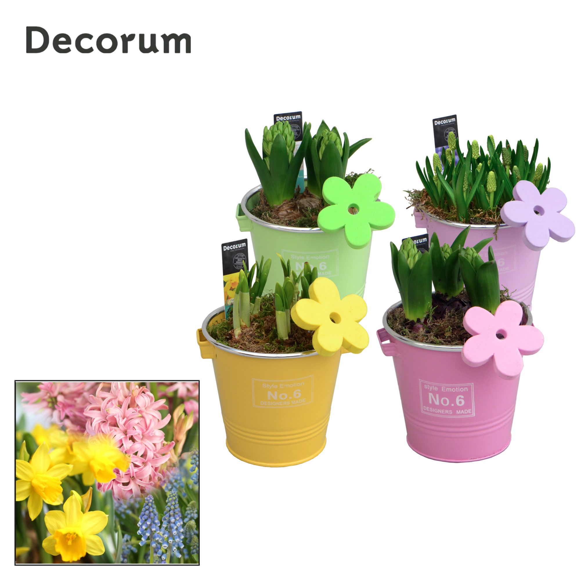 Bollenmix Colourful Bucket HL16583B, D 13