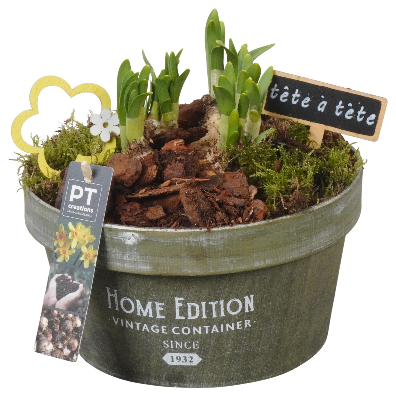 PTN8711 Arrangement Narcissus in houten bak, D 20