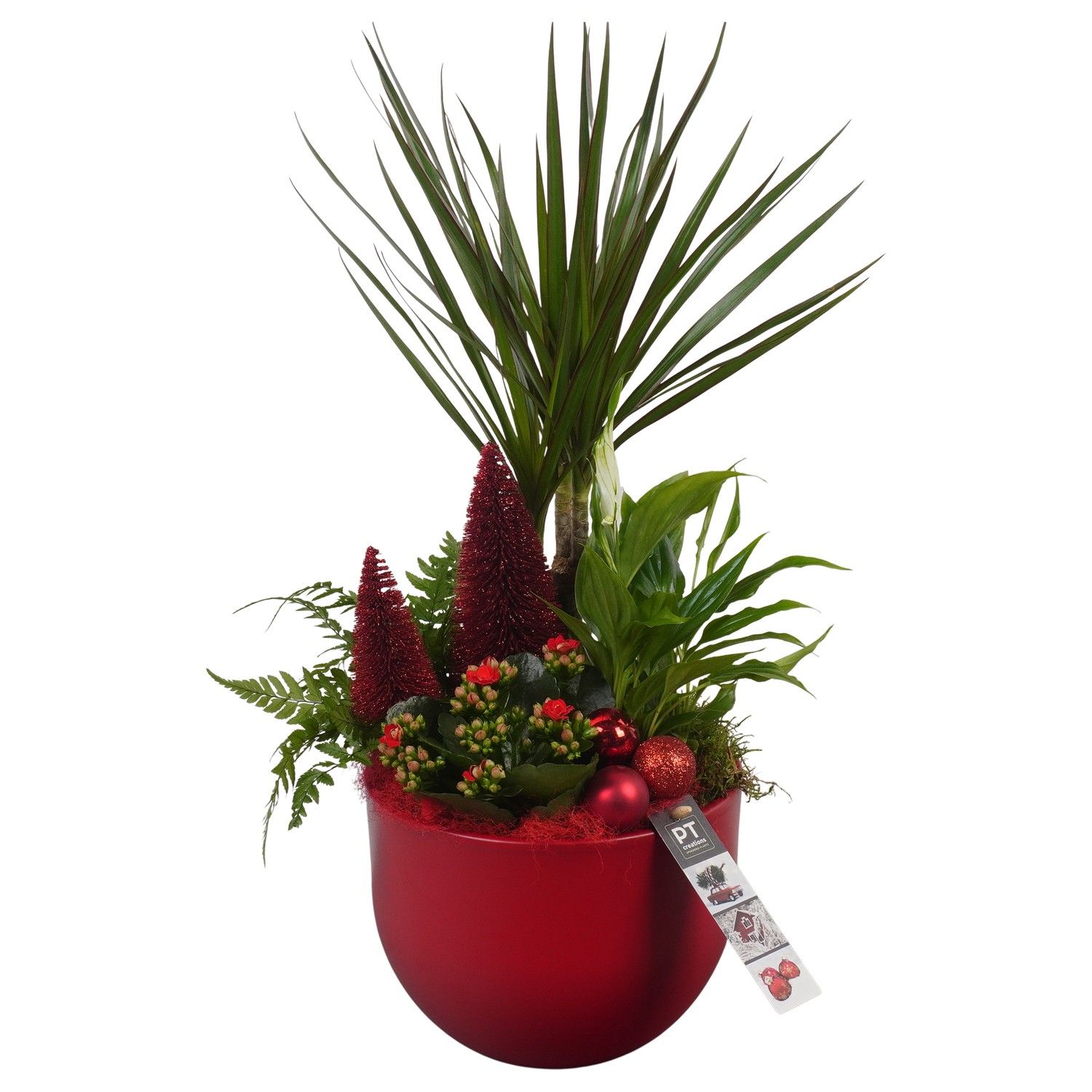PTCHR7240 Arrangement Christmas Red in keramiek pot, D 19 cm