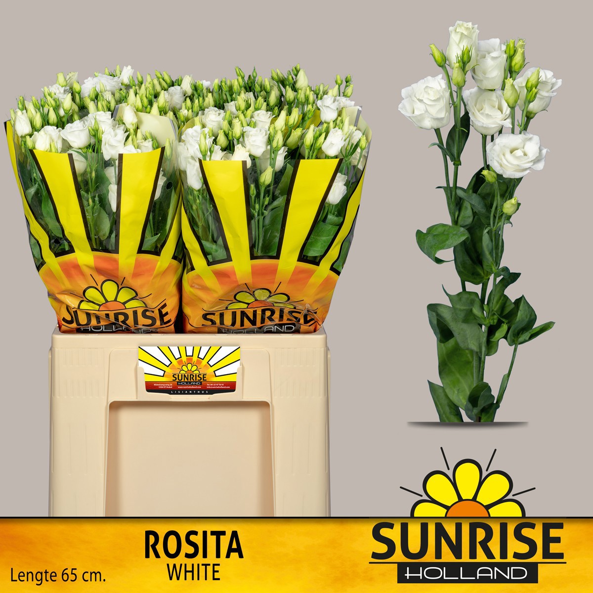 Эустома Розита Вайт 65 (бел.), шт.