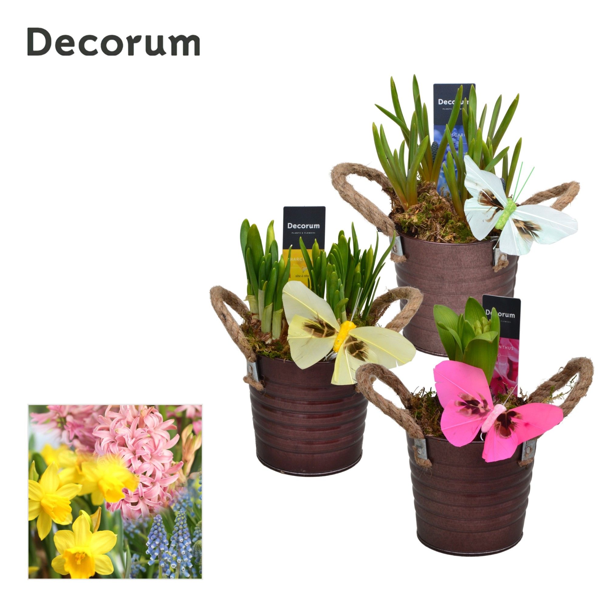 Bollenmix Copper Bucket HL15603B, D 10