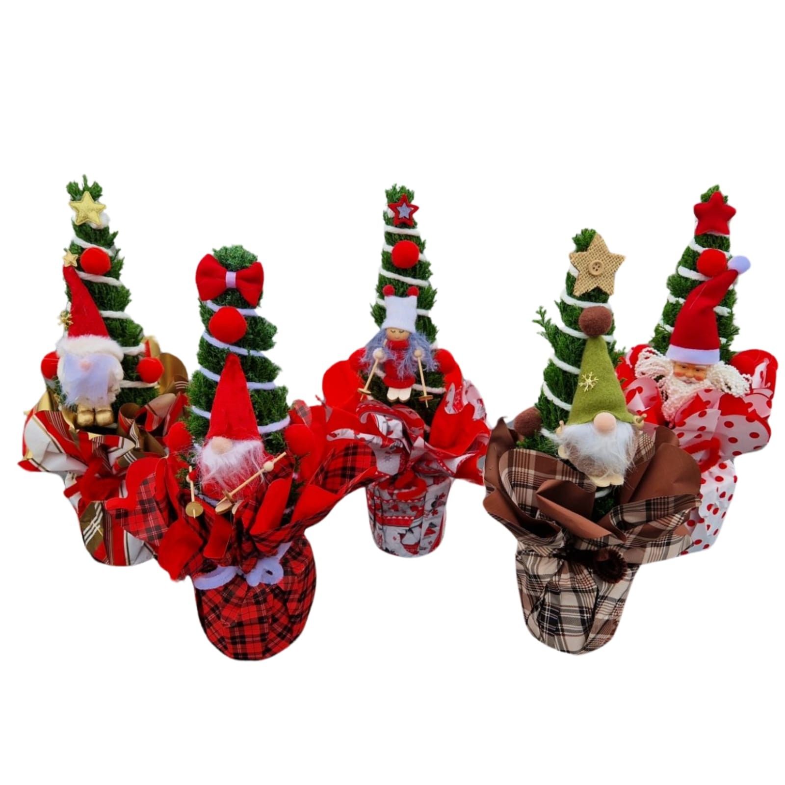 Christmas Puppets® - Chamaecyparis Ellwoodii, D 11 cm